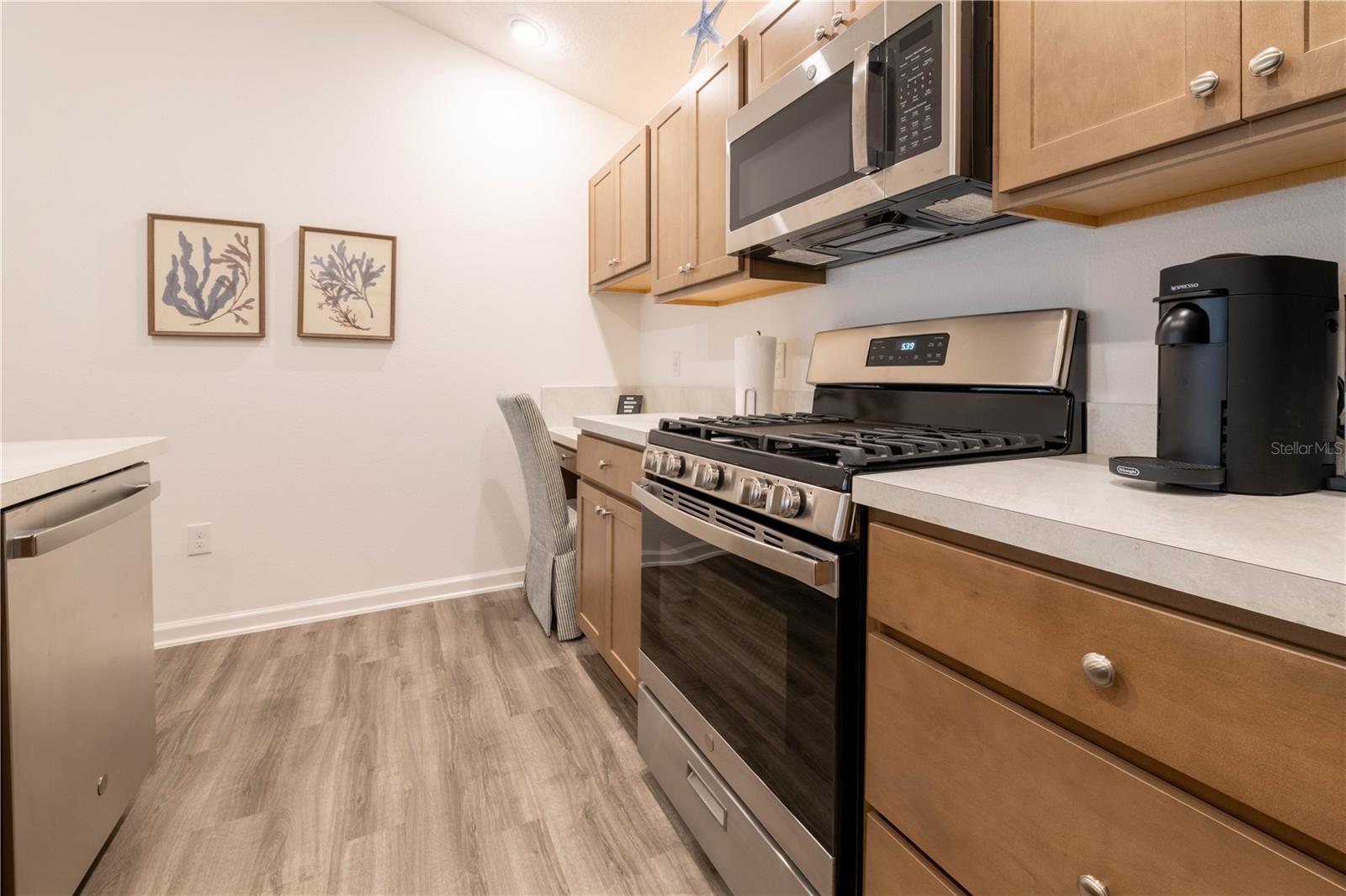 6471 ECOFF PL, THE VILLAGES, FL, 34762