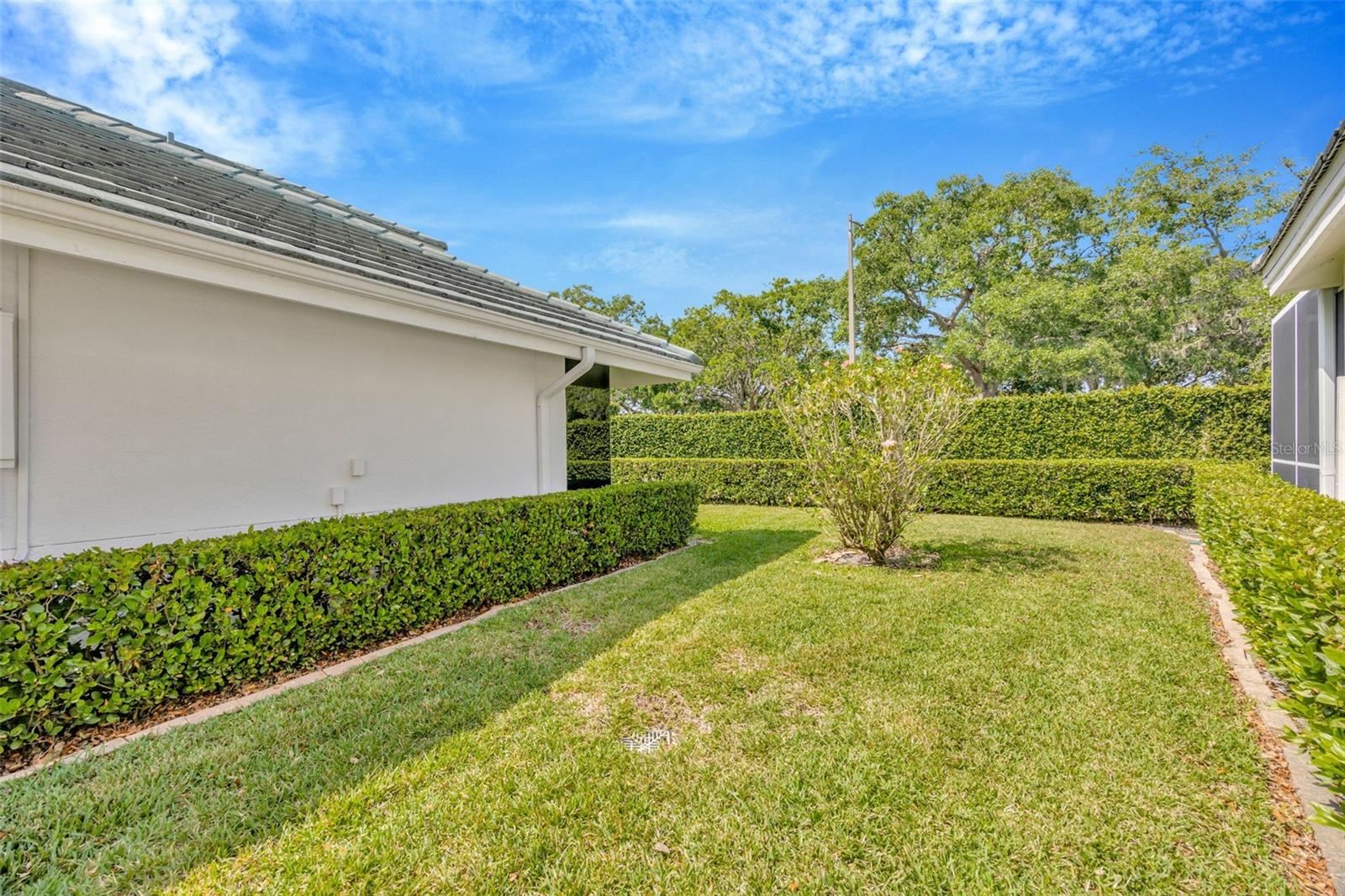 15824 SANCTUARY DR, TAMPA, FL, 33647