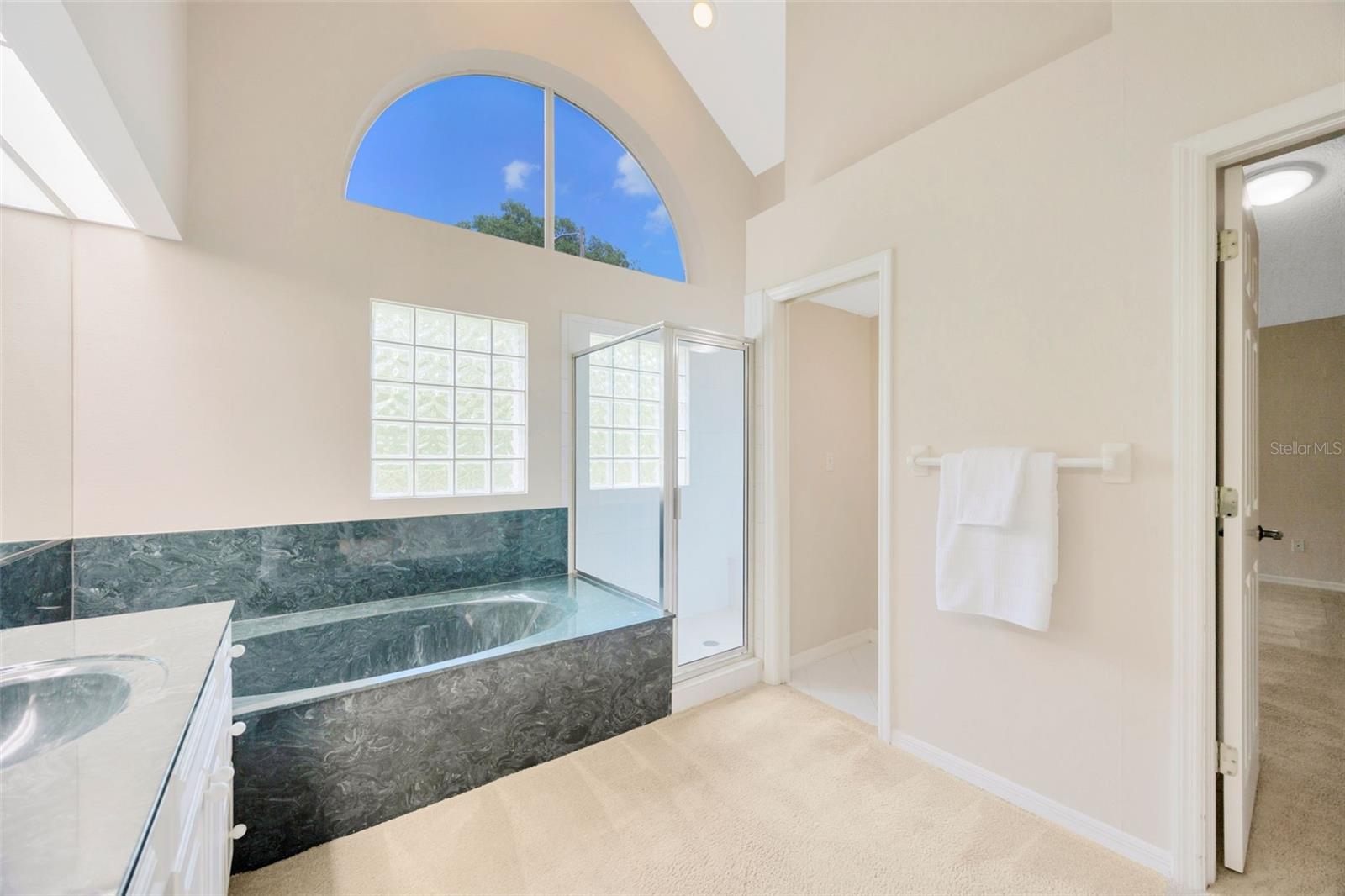 15824 SANCTUARY DR, TAMPA, FL, 33647