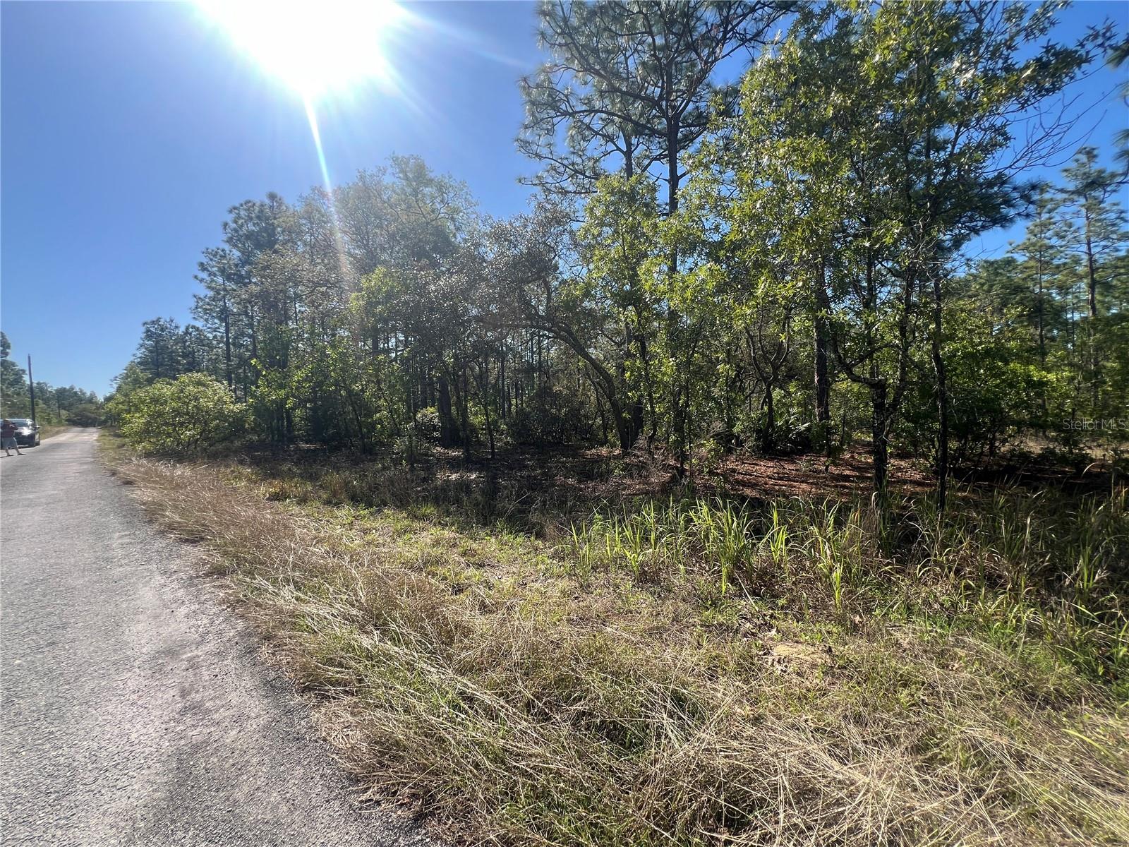 11418 THAMES AVE, WEEKI WACHEE, FL, 34614