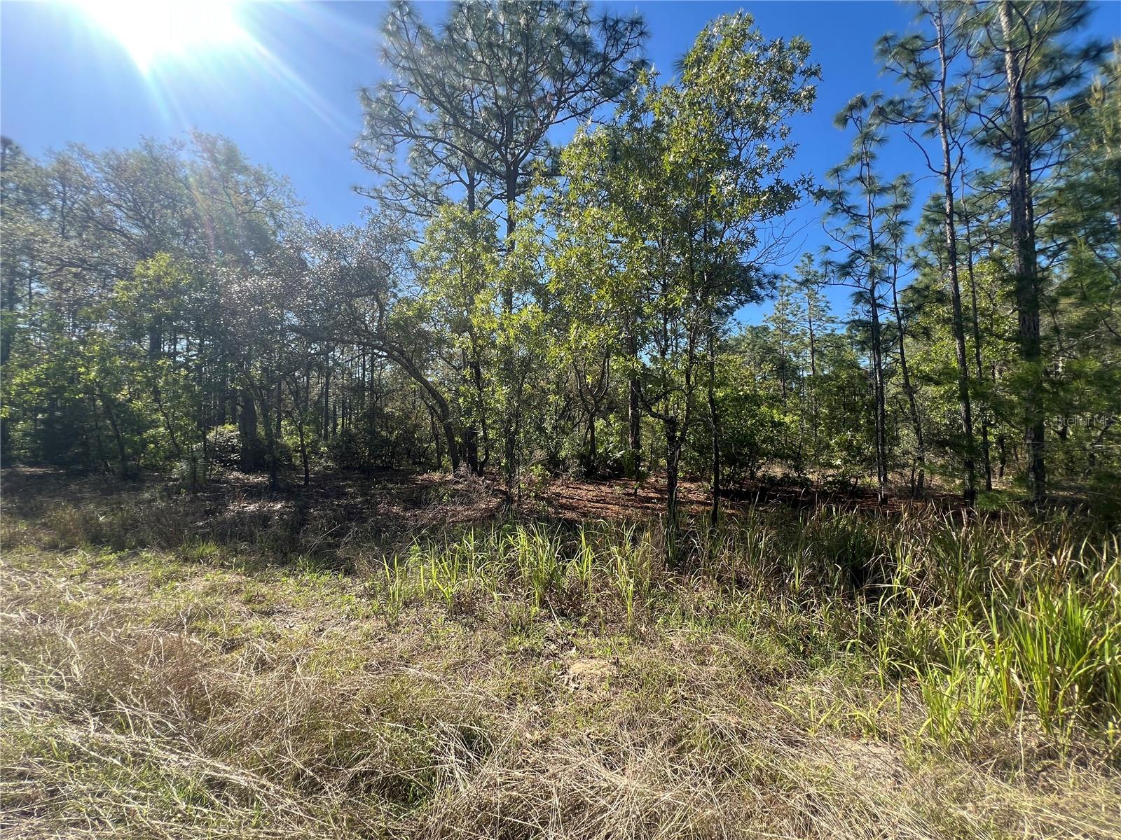 11418 THAMES AVE, WEEKI WACHEE, FL, 34614