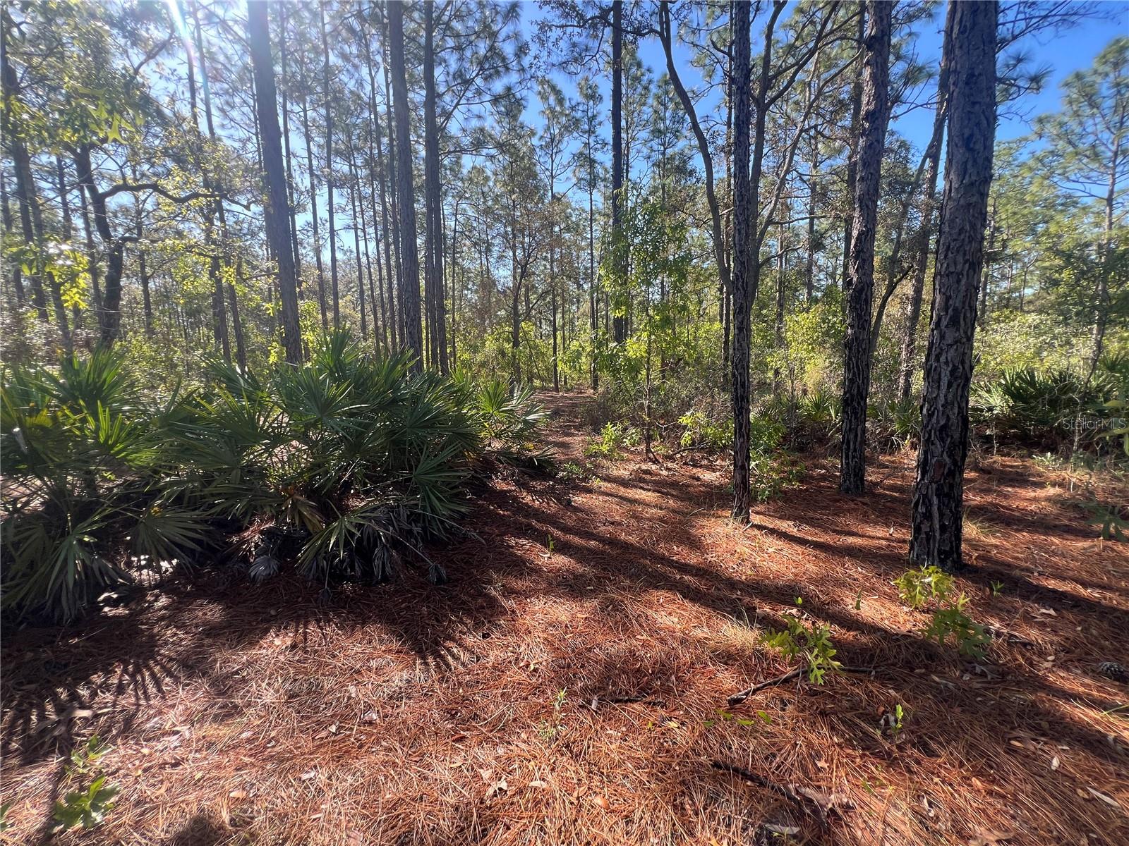 11418 THAMES AVE, WEEKI WACHEE, FL, 34614