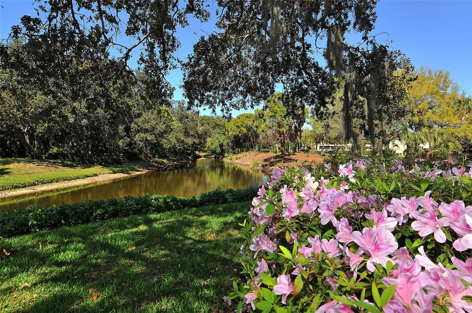 811 OAK DR #811, BRADENTON, FL, 34210