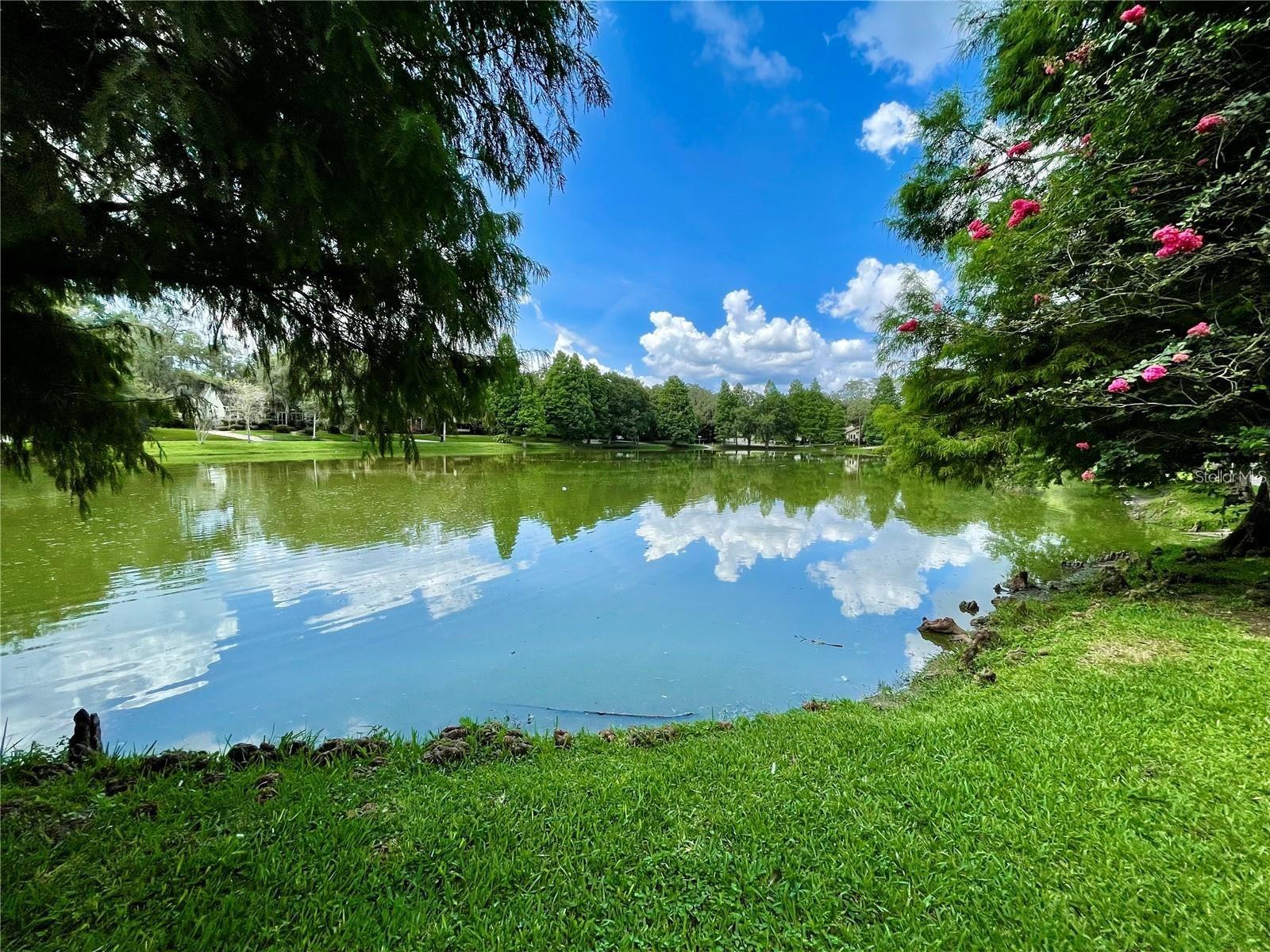 5530 N 9TH ST #1, TAMPA, FL, 33604