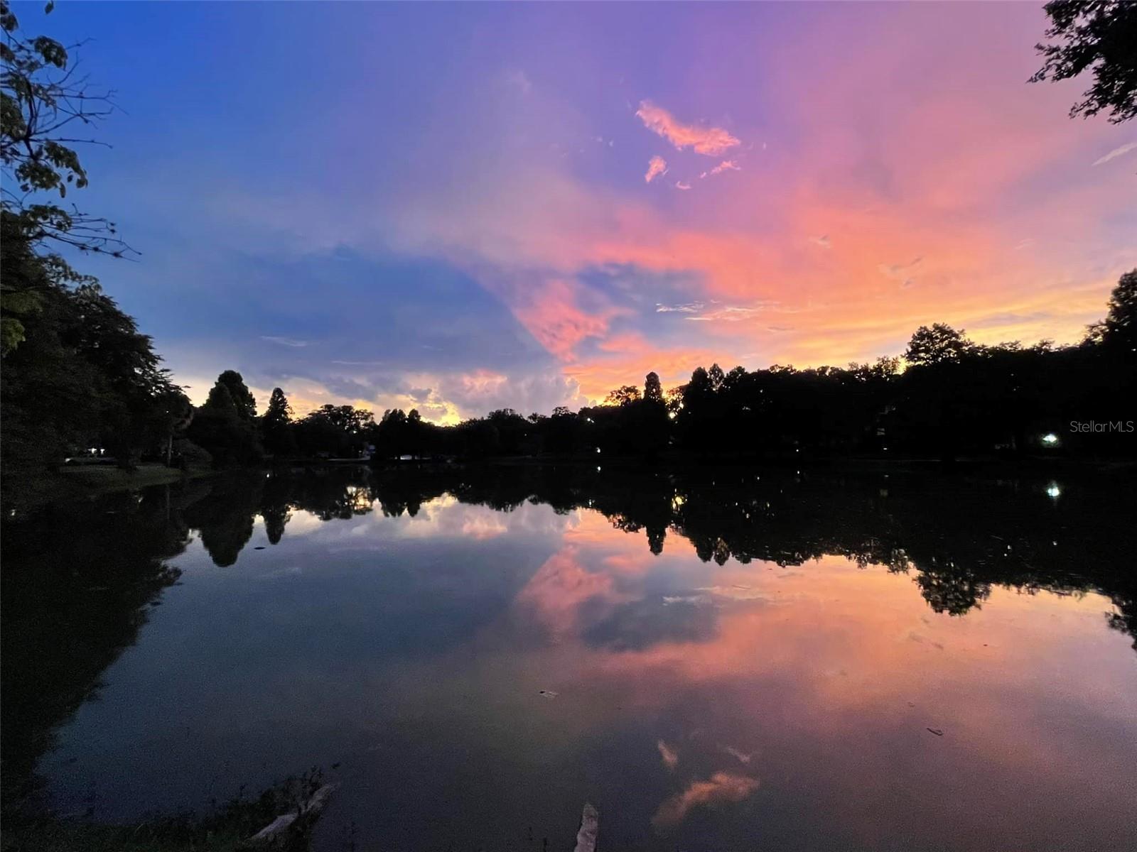 5530 N 9TH ST #1, TAMPA, FL, 33604