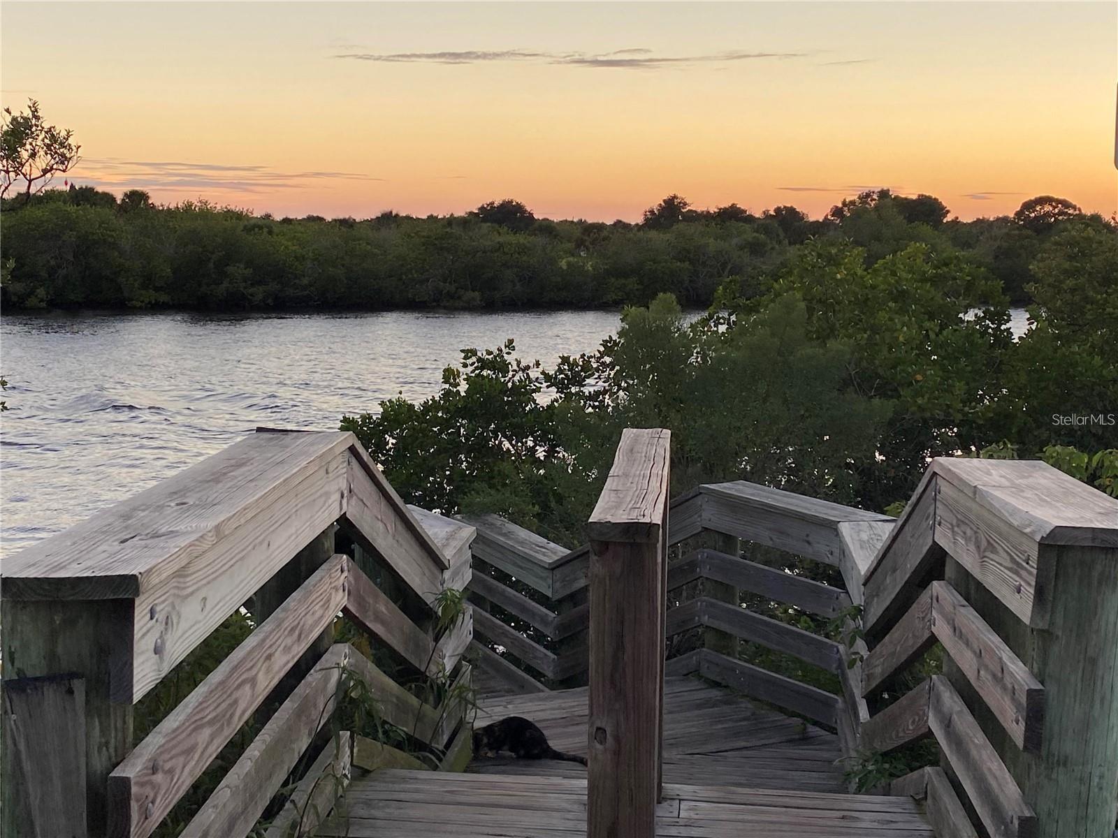 3309 ROCK ROYAL DR, HOLIDAY, FL, 34691