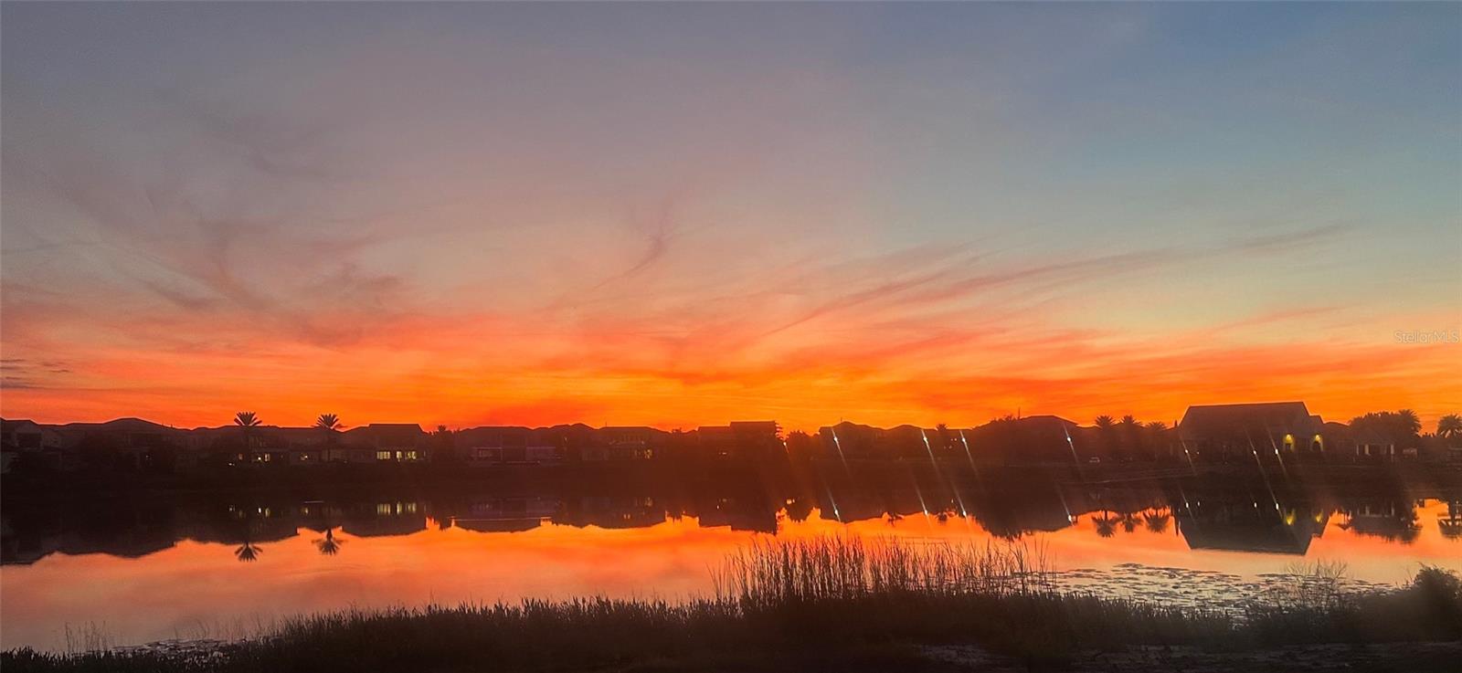 15511 SHOREBIRD LN, WINTER GARDEN, FL, 34787