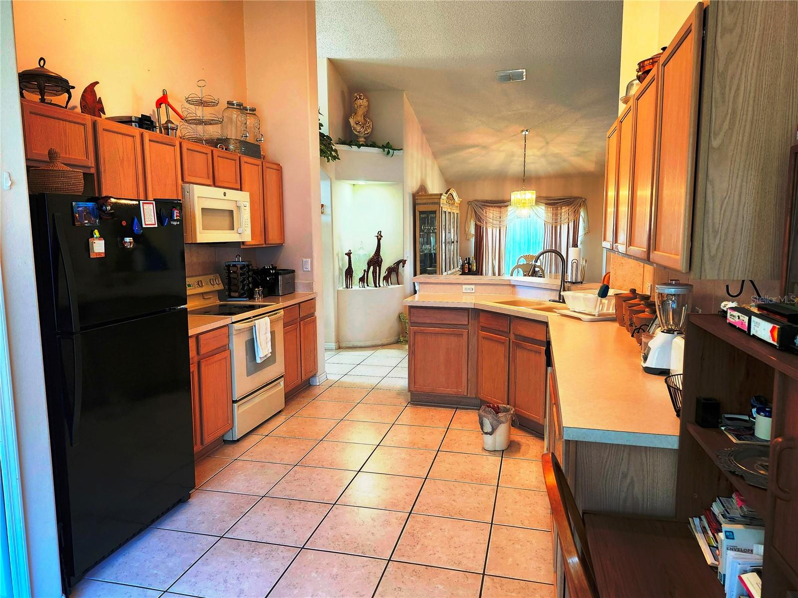 4613 EAGLET LN, KISSIMMEE, FL, 34746