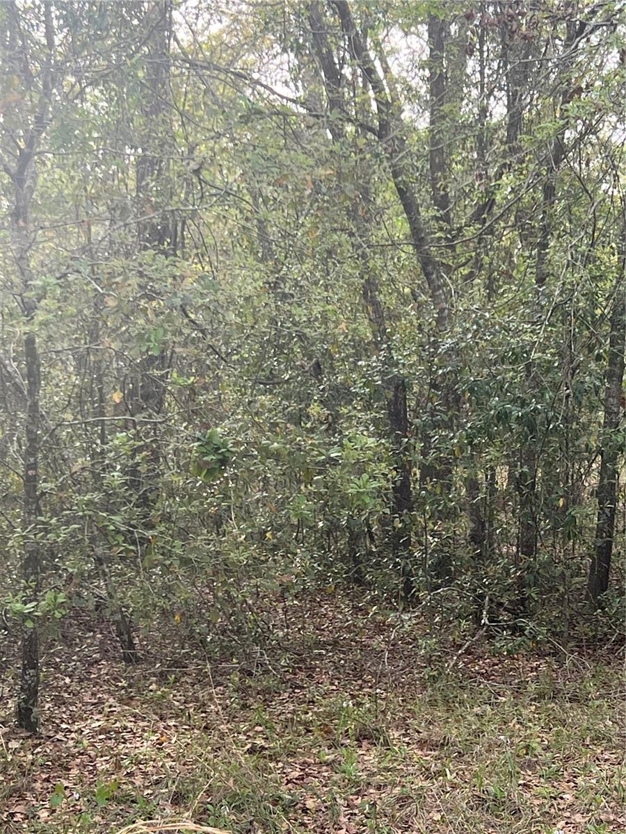 0000 NE 125TH ST, BRONSON, FL, 32621