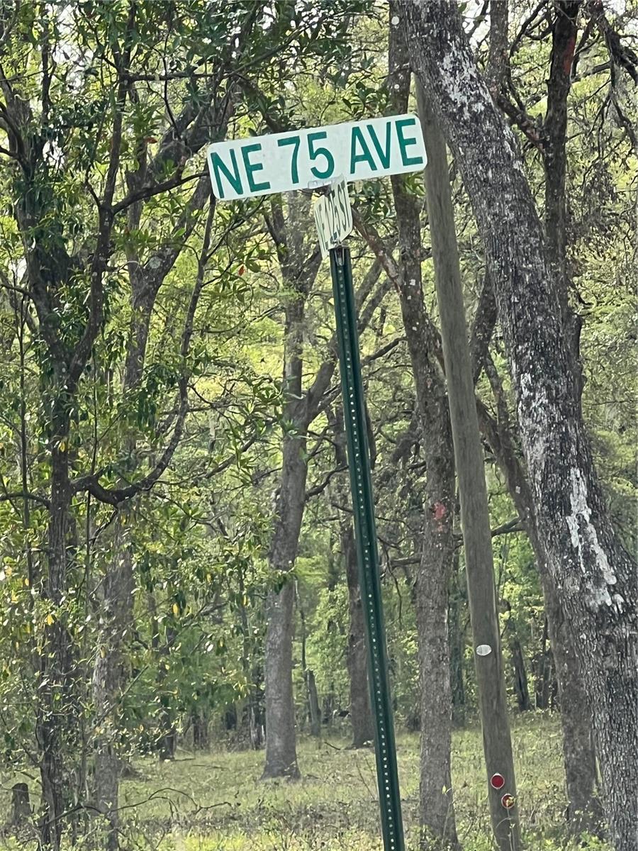 0000 NE 125TH ST, BRONSON, FL, 32621