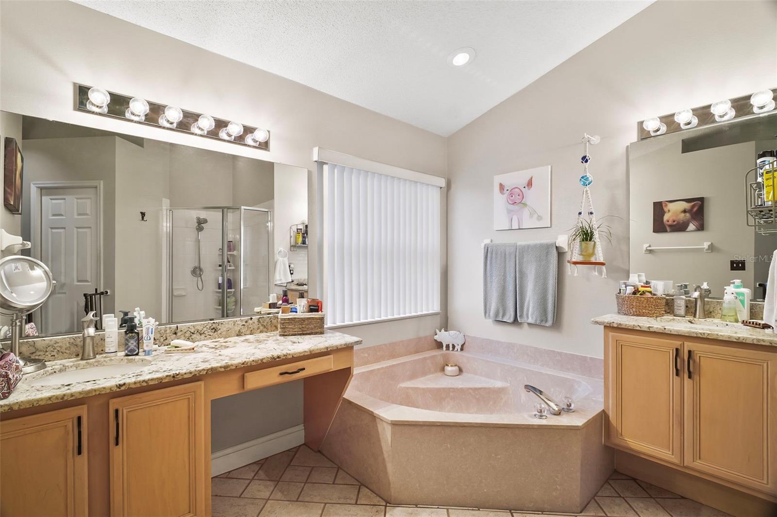 2515 WEKIVA WALK WAY, APOPKA, FL, 32703