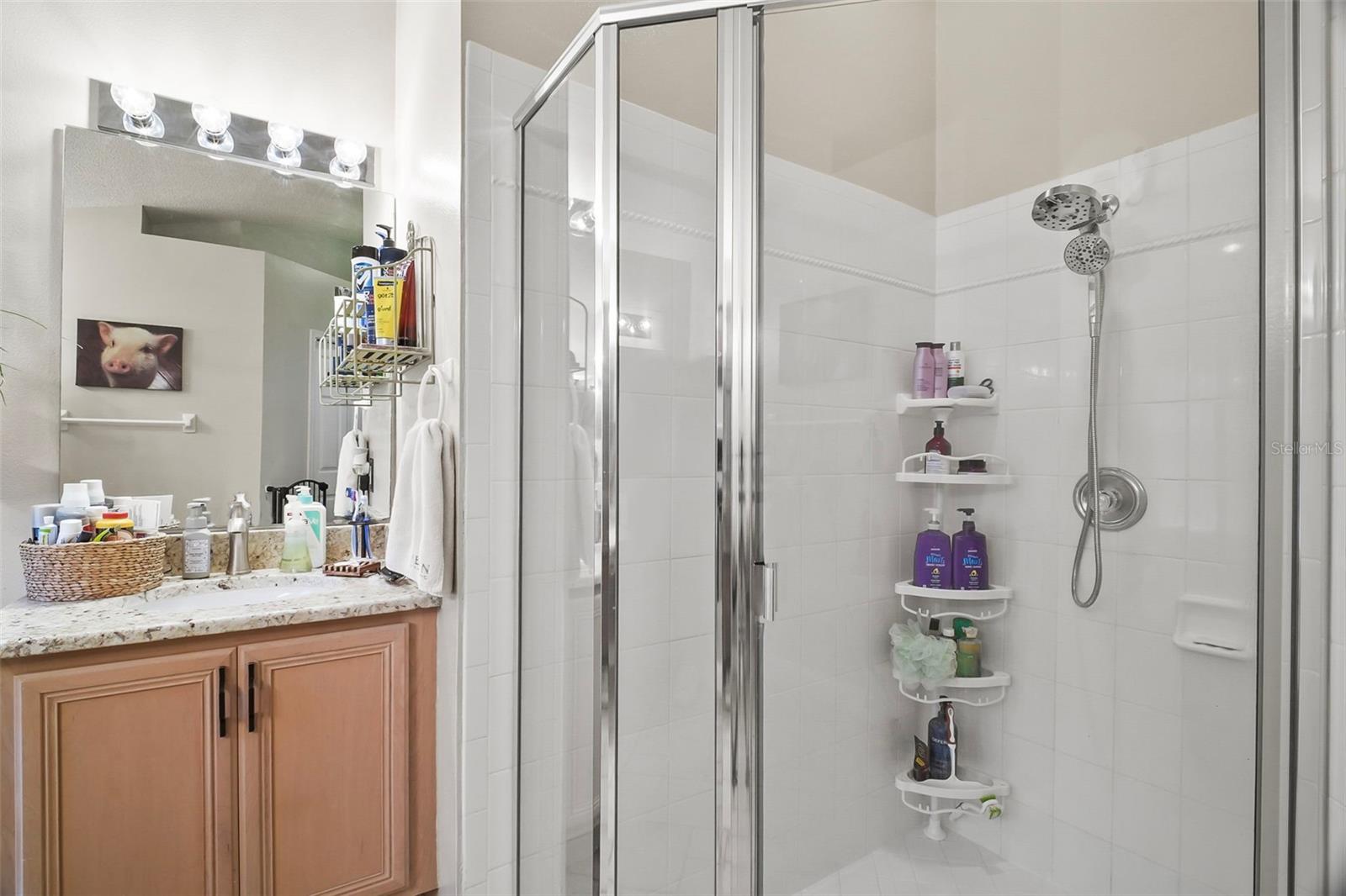 2515 WEKIVA WALK WAY, APOPKA, FL, 32703