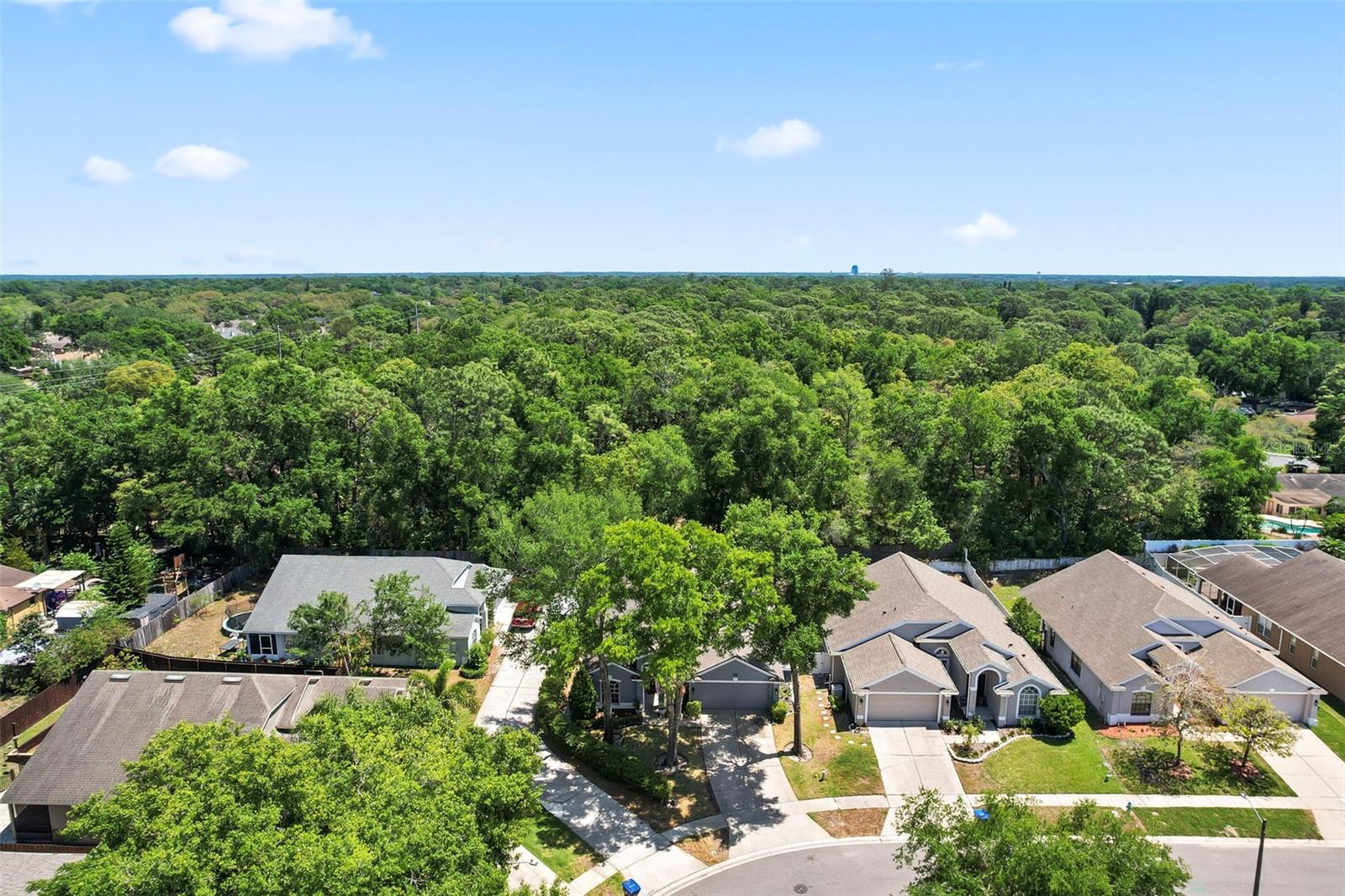 2515 WEKIVA WALK WAY, APOPKA, FL, 32703