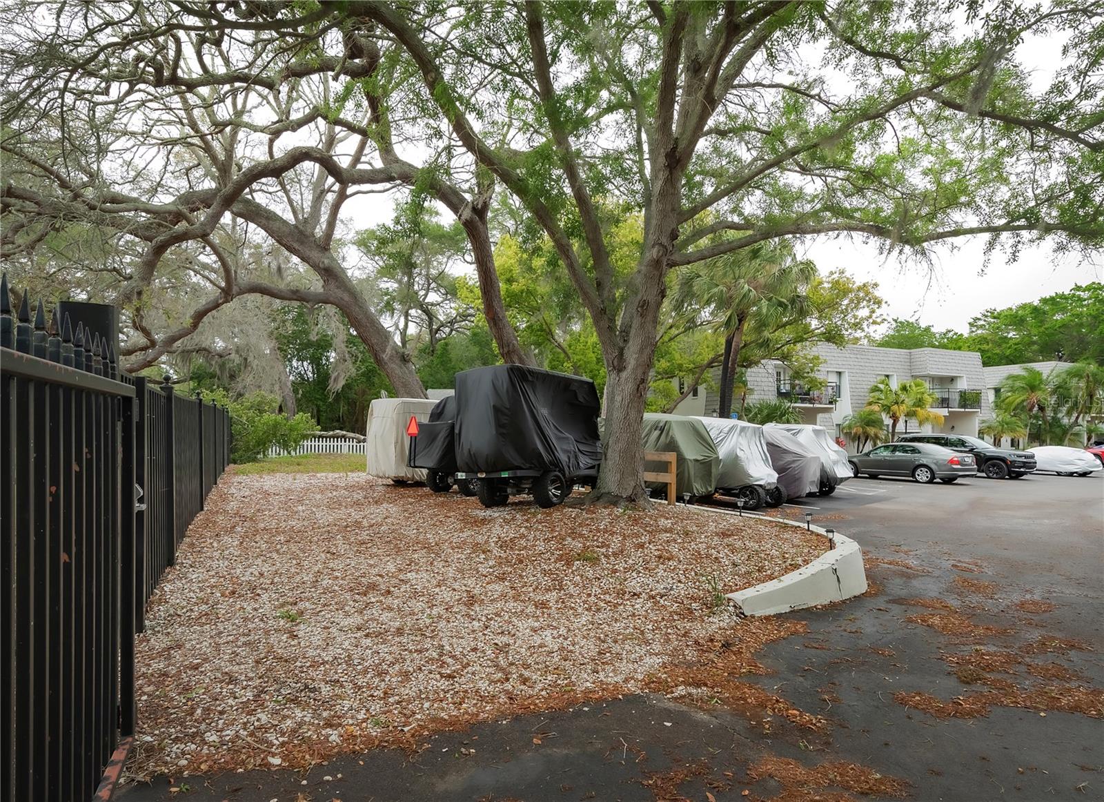 704 LYNDHURST ST #603, DUNEDIN, FL, 34698