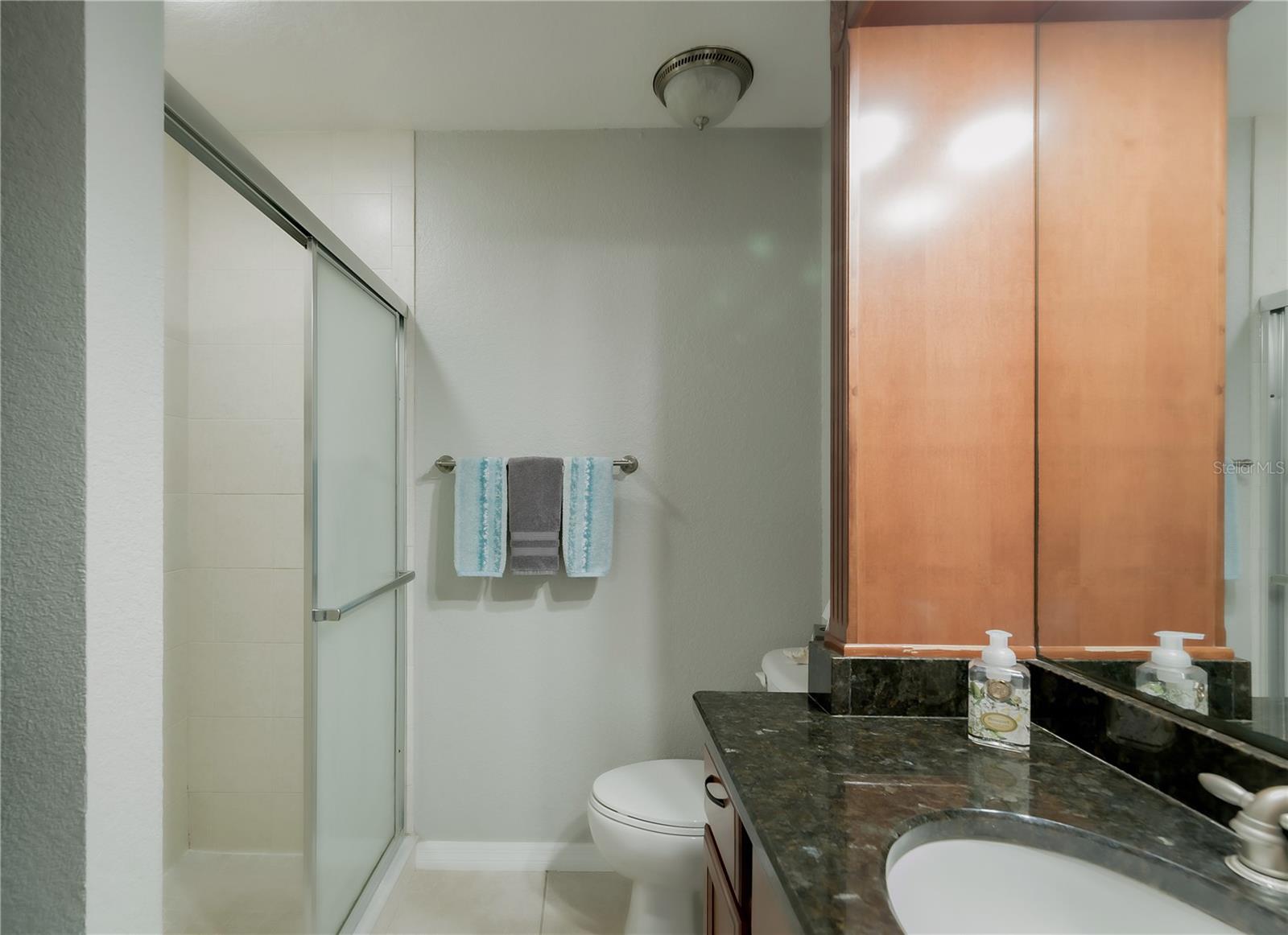 704 LYNDHURST ST #603, DUNEDIN, FL, 34698