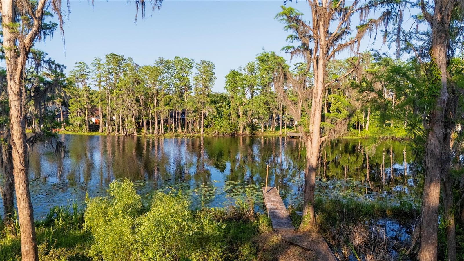 16213 DEW DROP LN, TAMPA, FL, 33625