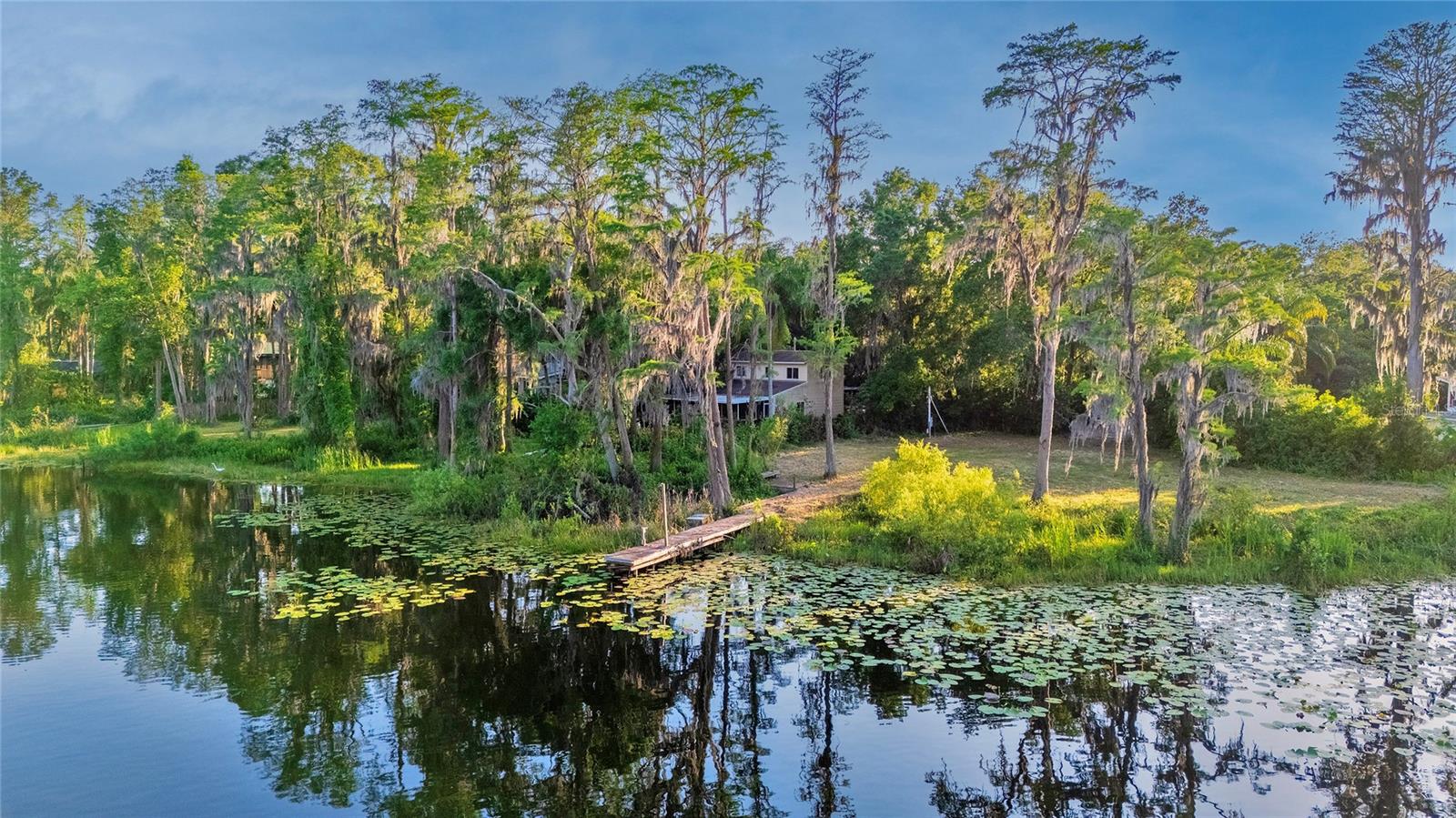 16213 DEW DROP LN, TAMPA, FL, 33625