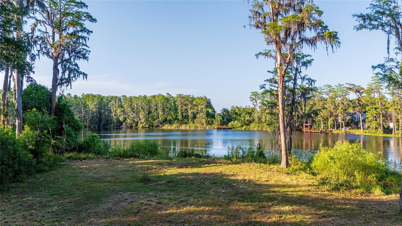 16213 DEW DROP LN, TAMPA, FL, 33625