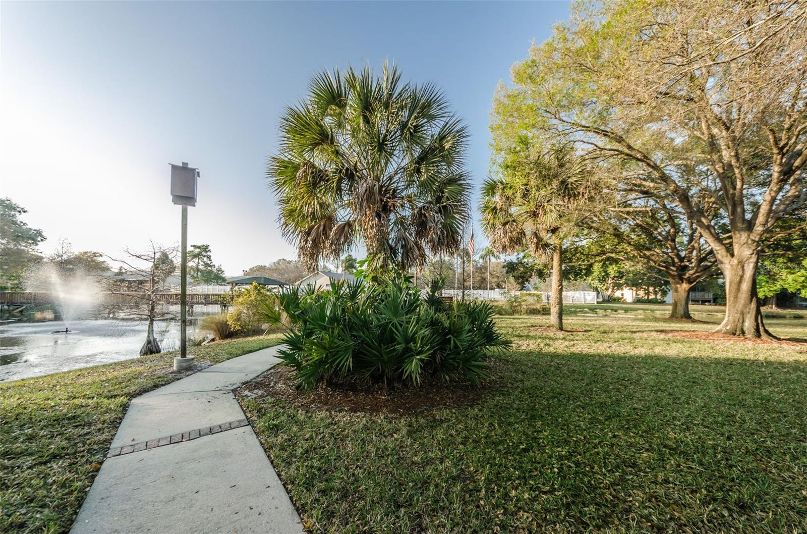 6238 92ND PL N #3201, PINELLAS PARK, FL, 33782