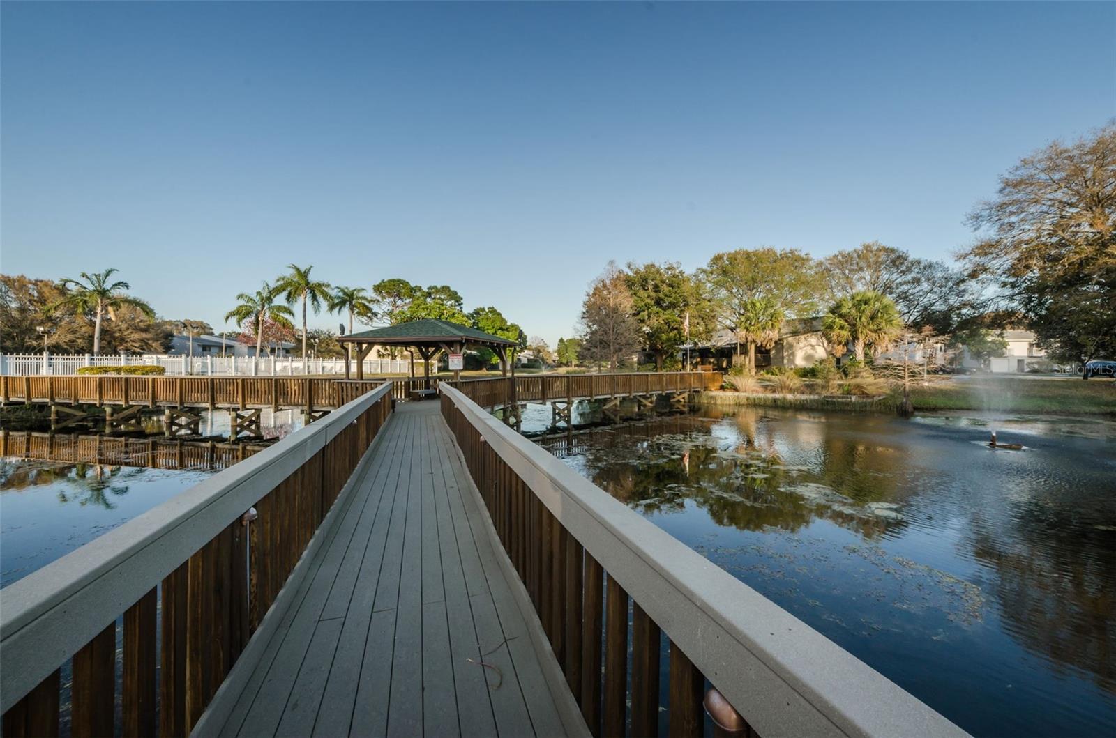 6238 92ND PL N #3201, PINELLAS PARK, FL, 33782