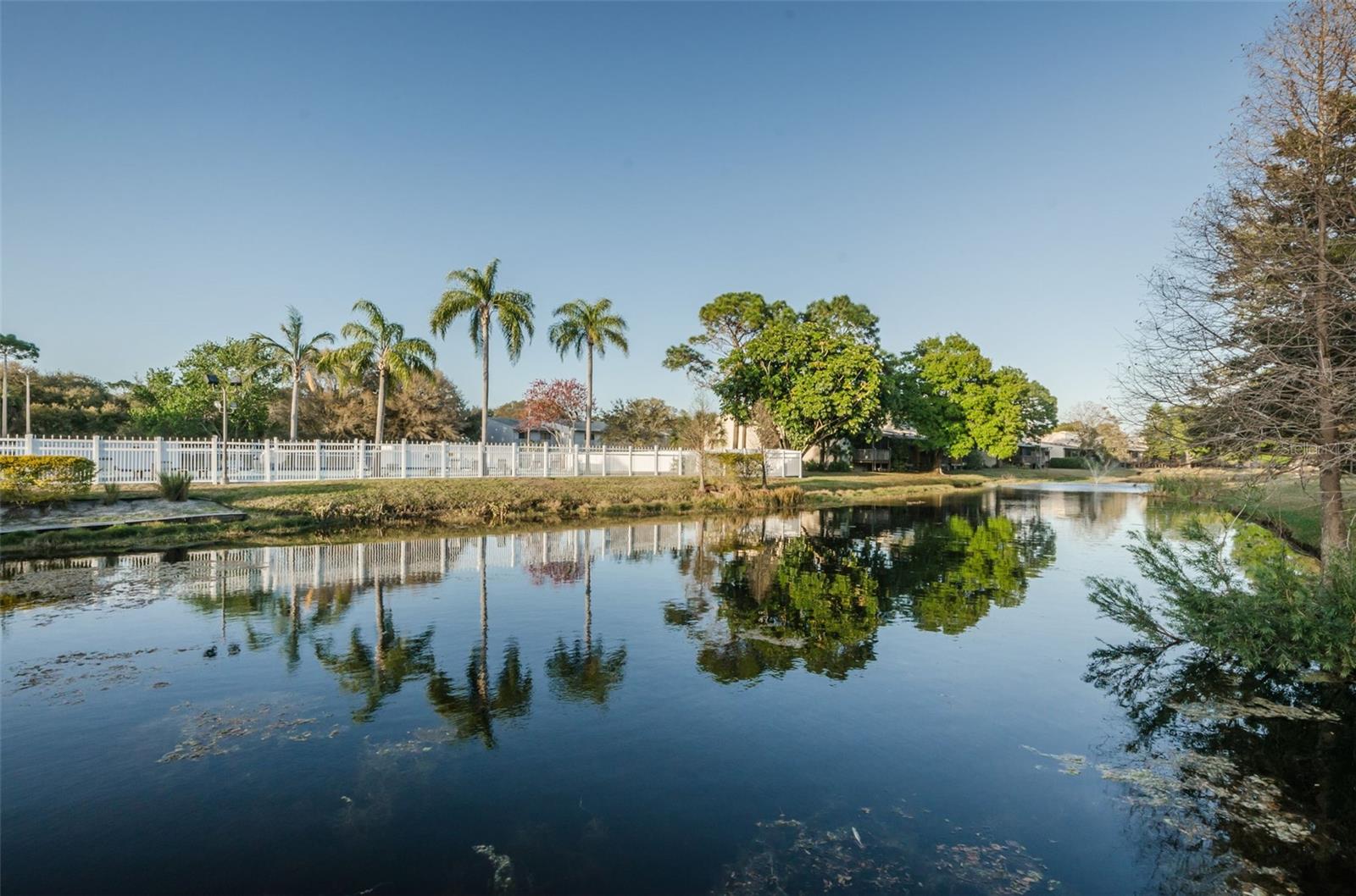 6238 92ND PL N #3201, PINELLAS PARK, FL, 33782