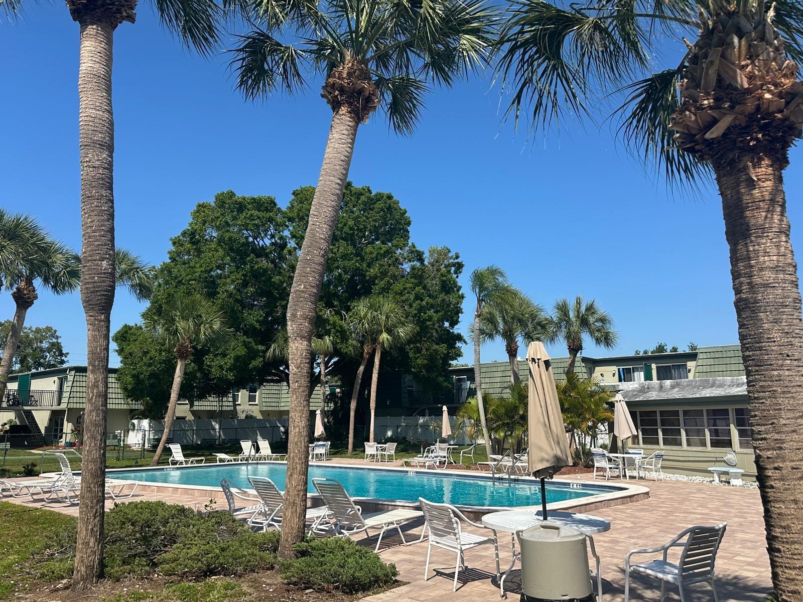 1799 N HIGHLAND AVE #32, CLEARWATER, FL, 33755