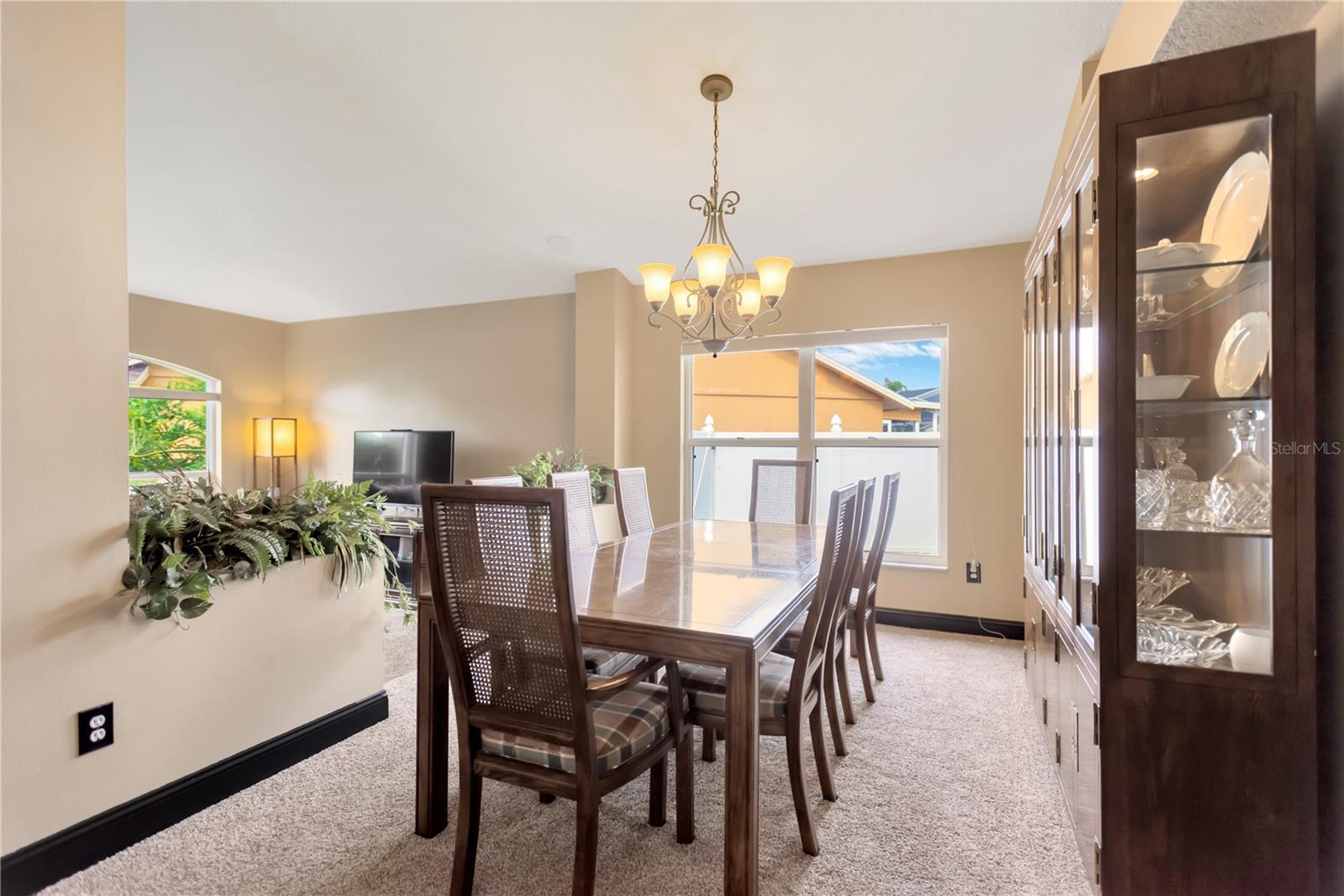 3913 LITTLE EGRET CT, LUTZ, FL, 33558