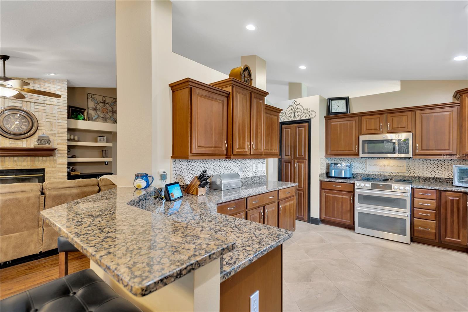 3913 LITTLE EGRET CT, LUTZ, FL, 33558