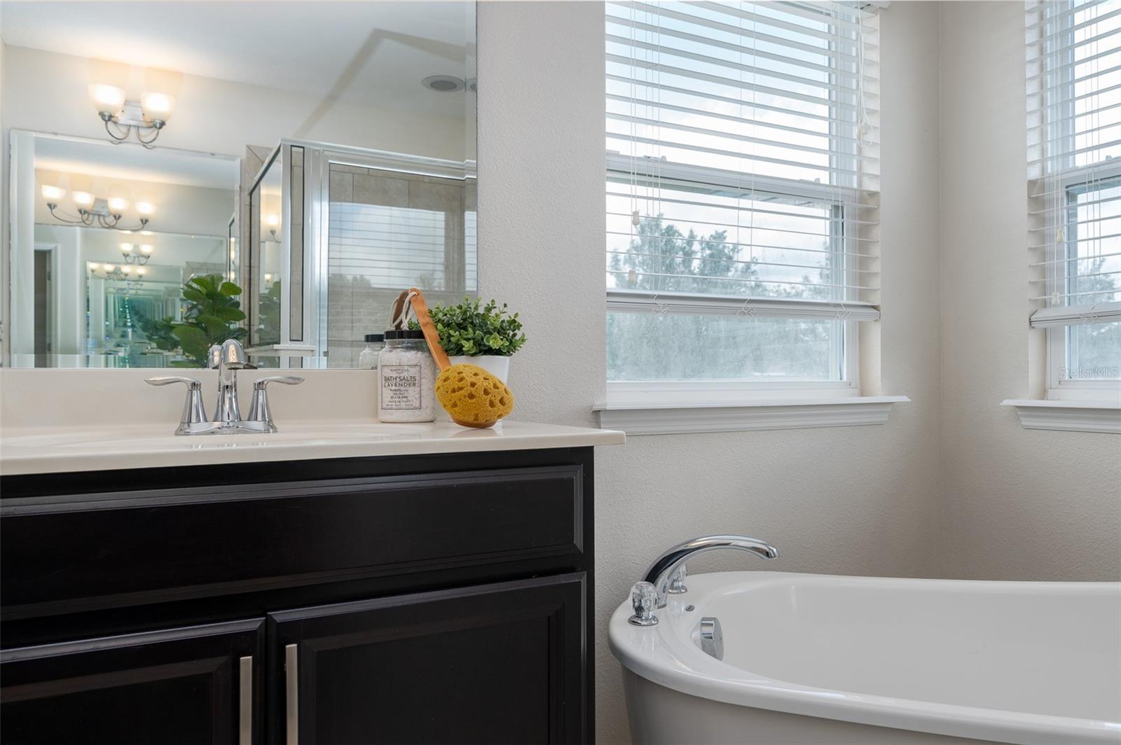 1710 ALEJO DR, APOPKA, FL, 32712