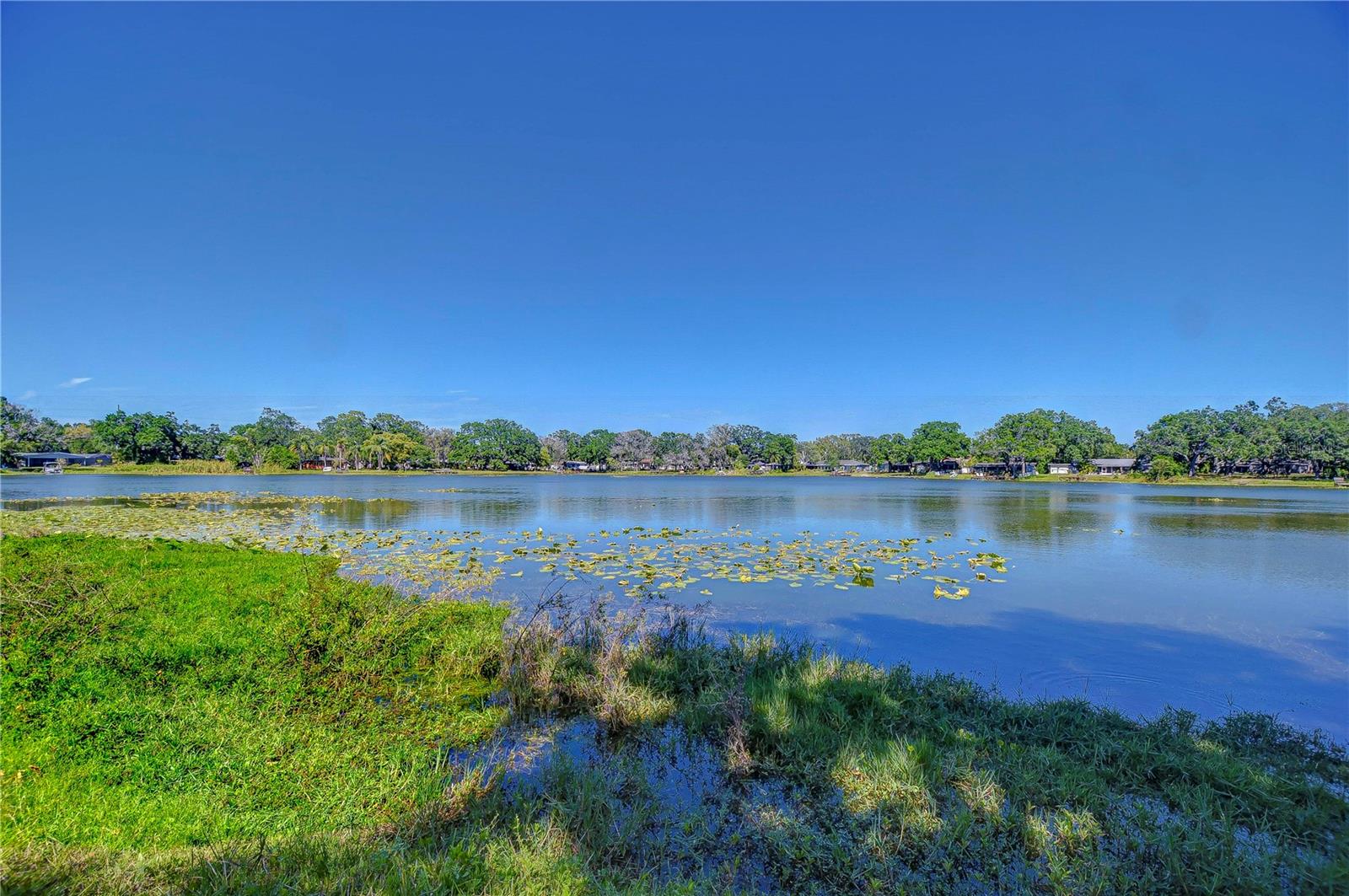 1324 ECKLES DR, TAMPA, FL, 33612