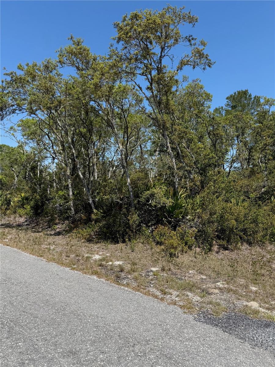 TBD FISHER LOOP PASS, OCKLAWAHA, FL, 32179