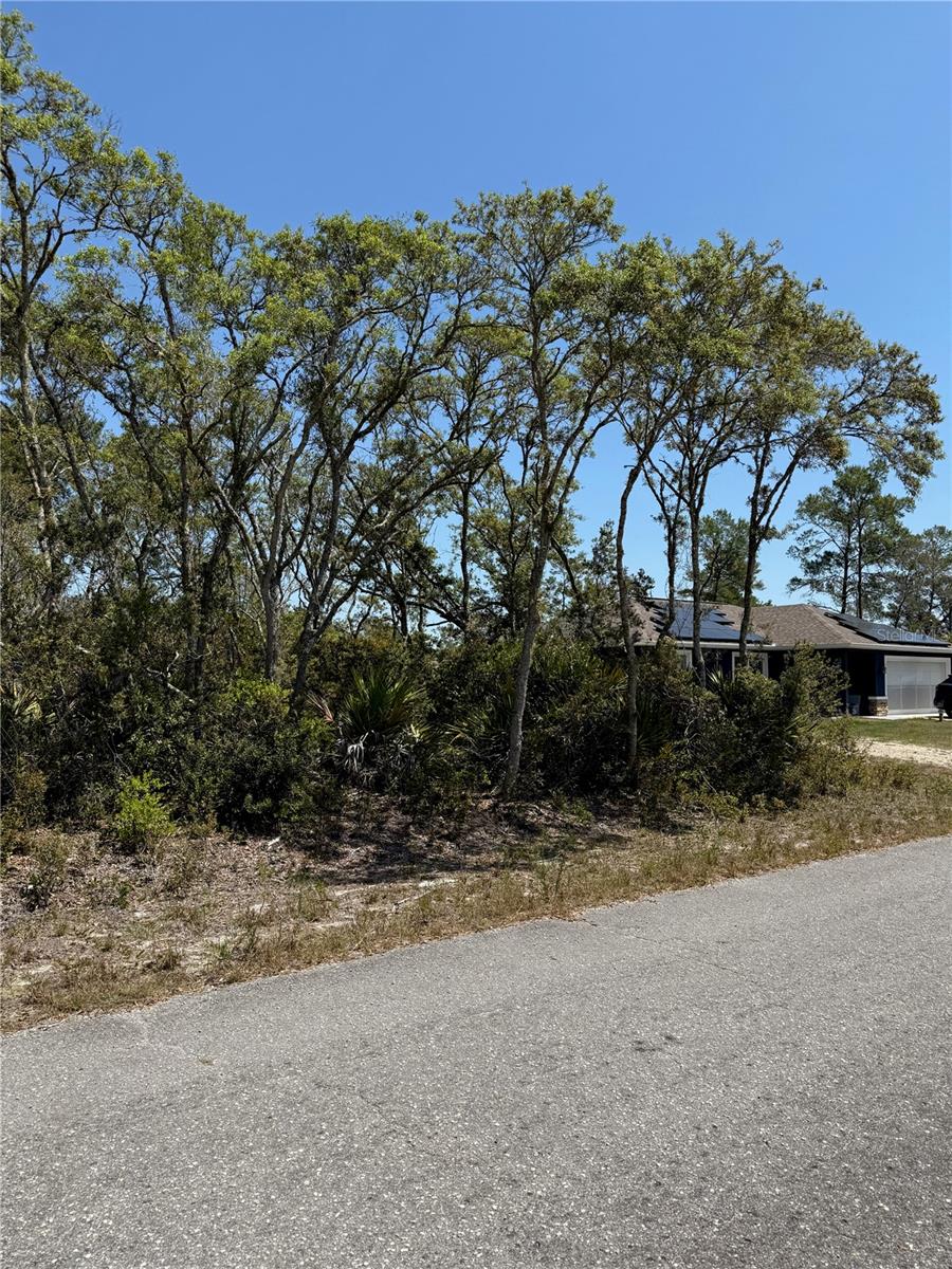 TBD FISHER LOOP PASS, OCKLAWAHA, FL, 32179