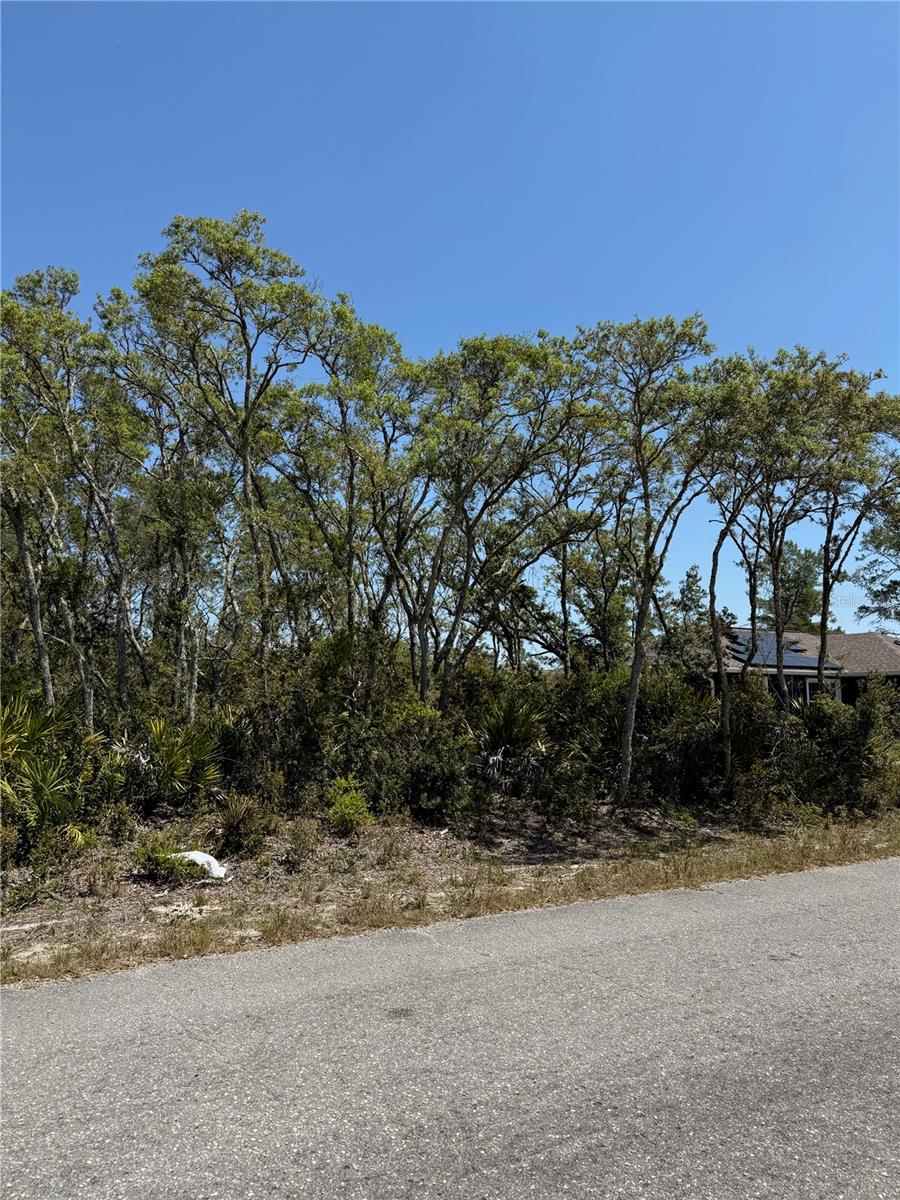 TBD FISHER LOOP PASS, OCKLAWAHA, FL, 32179