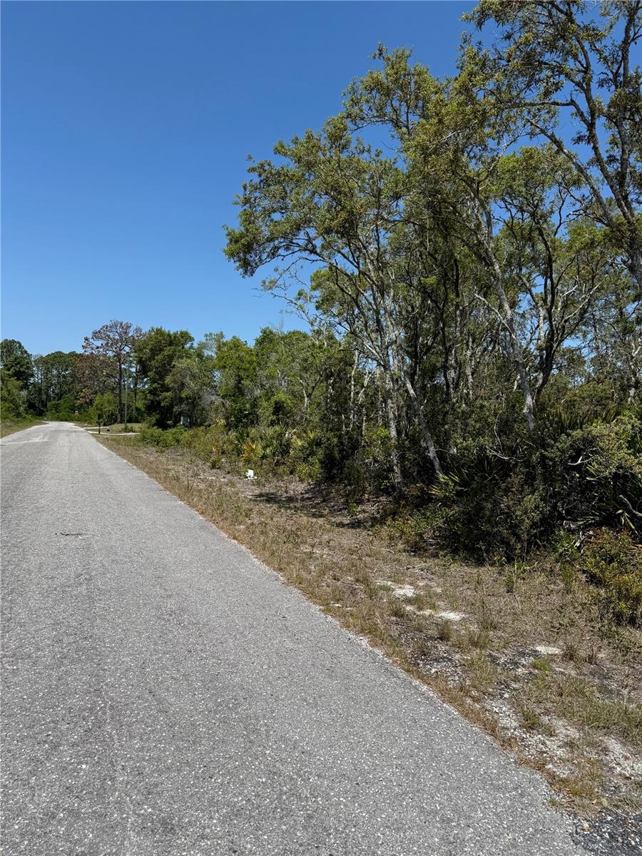 TBD FISHER LOOP PASS, OCKLAWAHA, FL, 32179