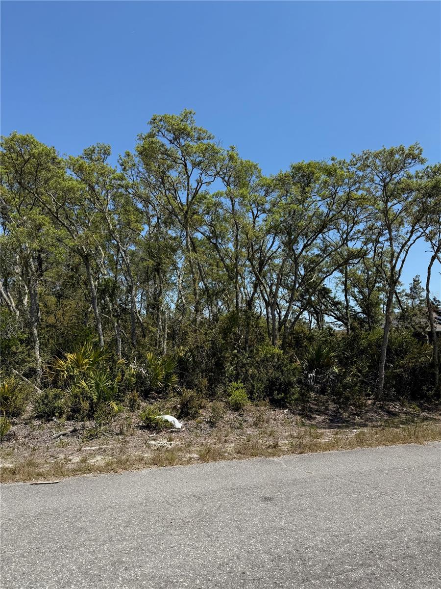 TBD FISHER LOOP PASS, OCKLAWAHA, FL, 32179
