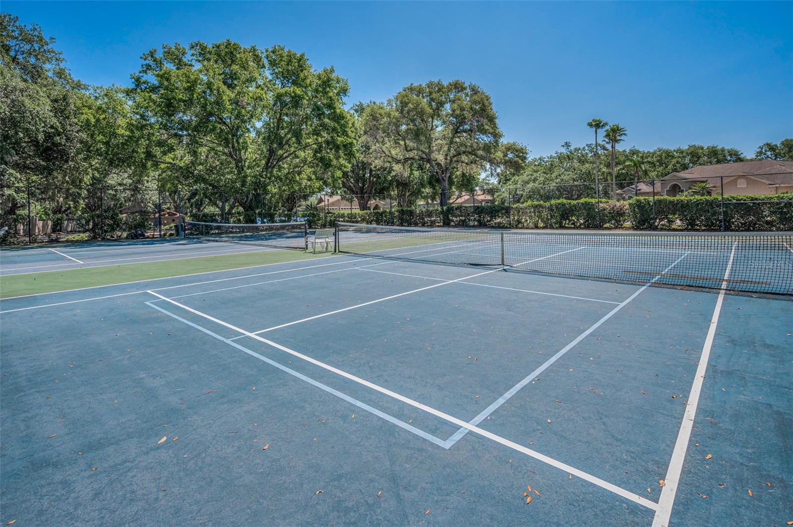 13613 DOWLING LN, ODESSA, FL, 33556