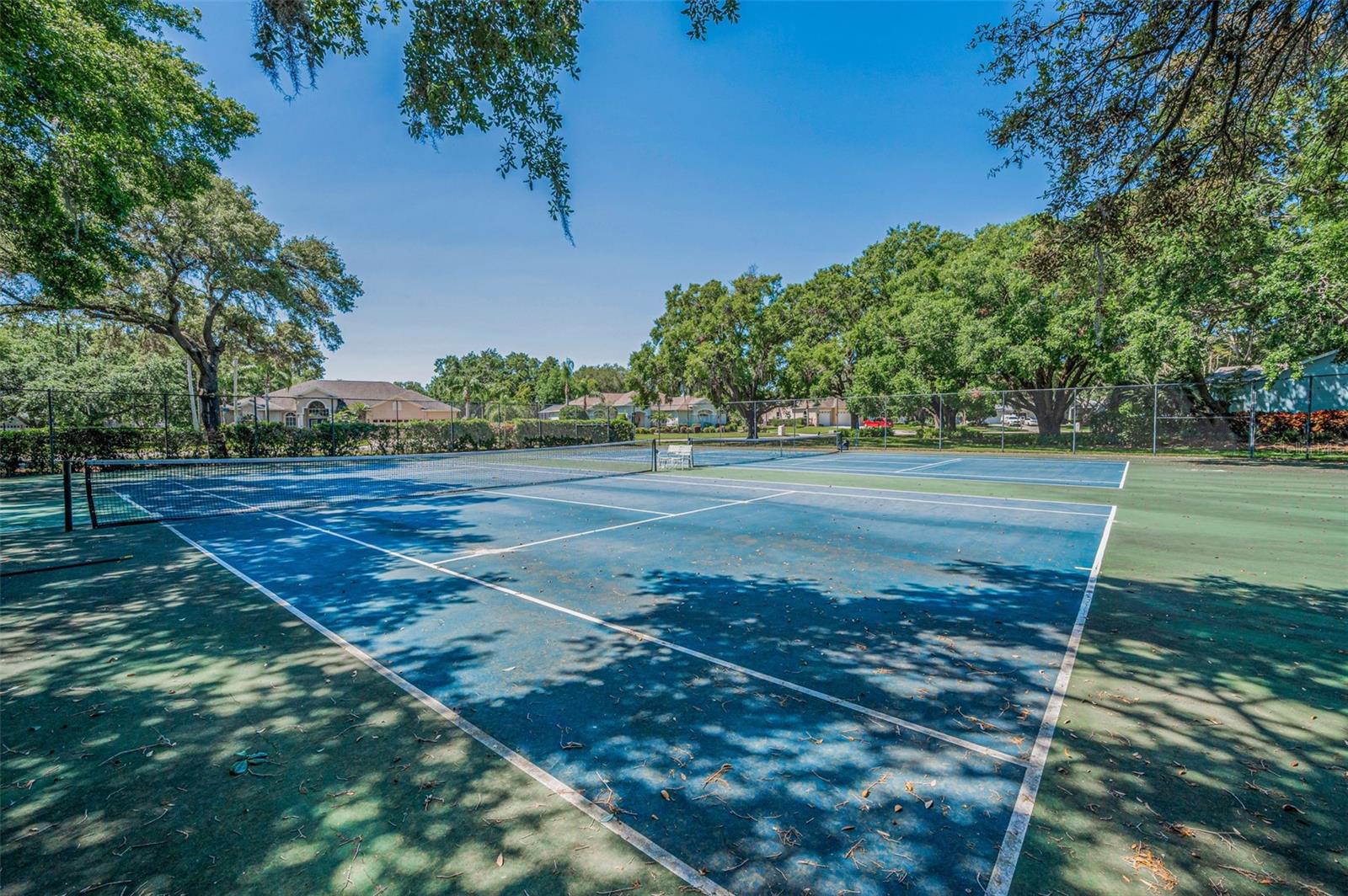 13613 DOWLING LN, ODESSA, FL, 33556