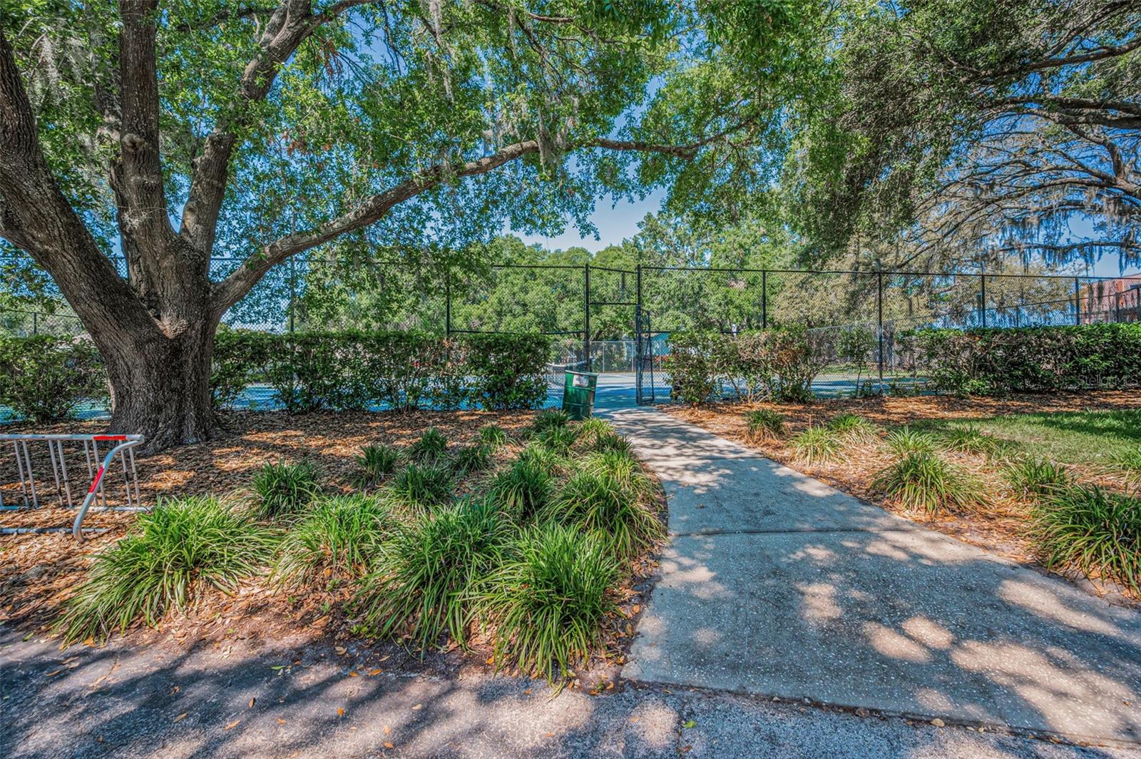 13613 DOWLING LN, ODESSA, FL, 33556