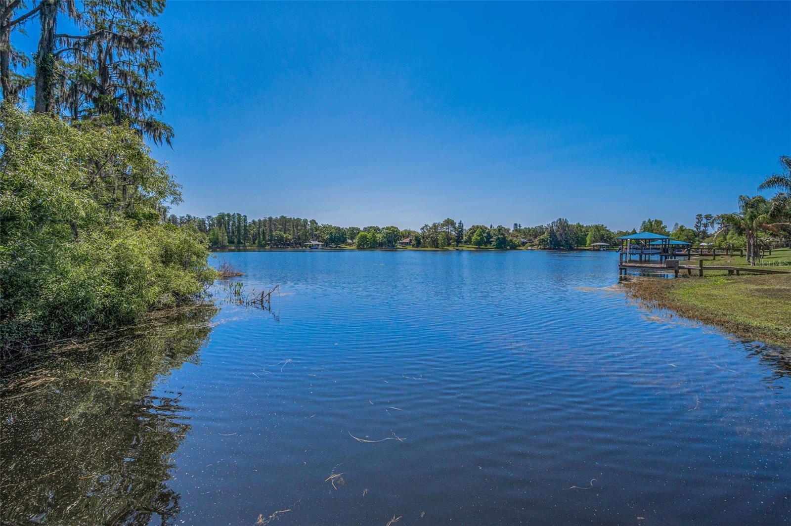 13613 DOWLING LN, ODESSA, FL, 33556