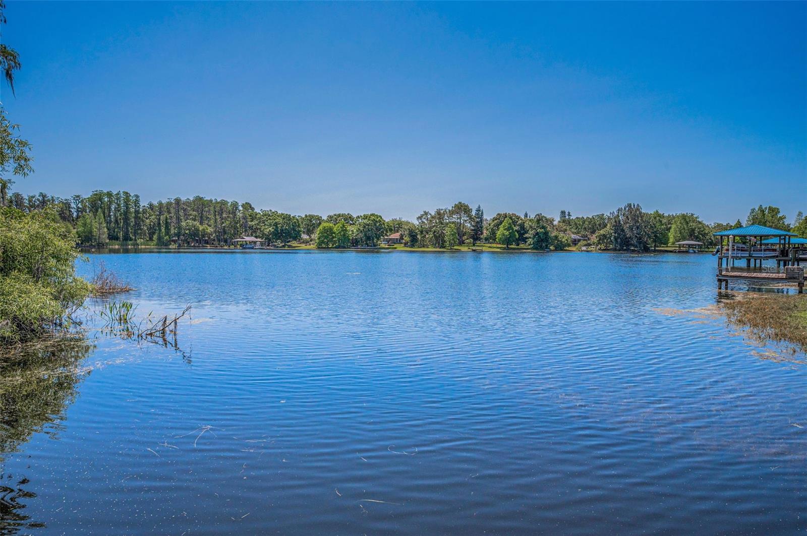 13613 DOWLING LN, ODESSA, FL, 33556