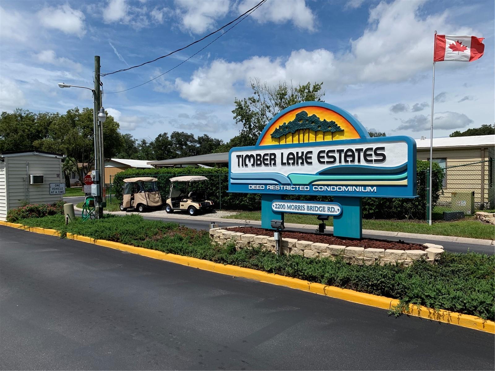 3111 GREAT OAK ST, WESLEY CHAPEL, FL, 33543