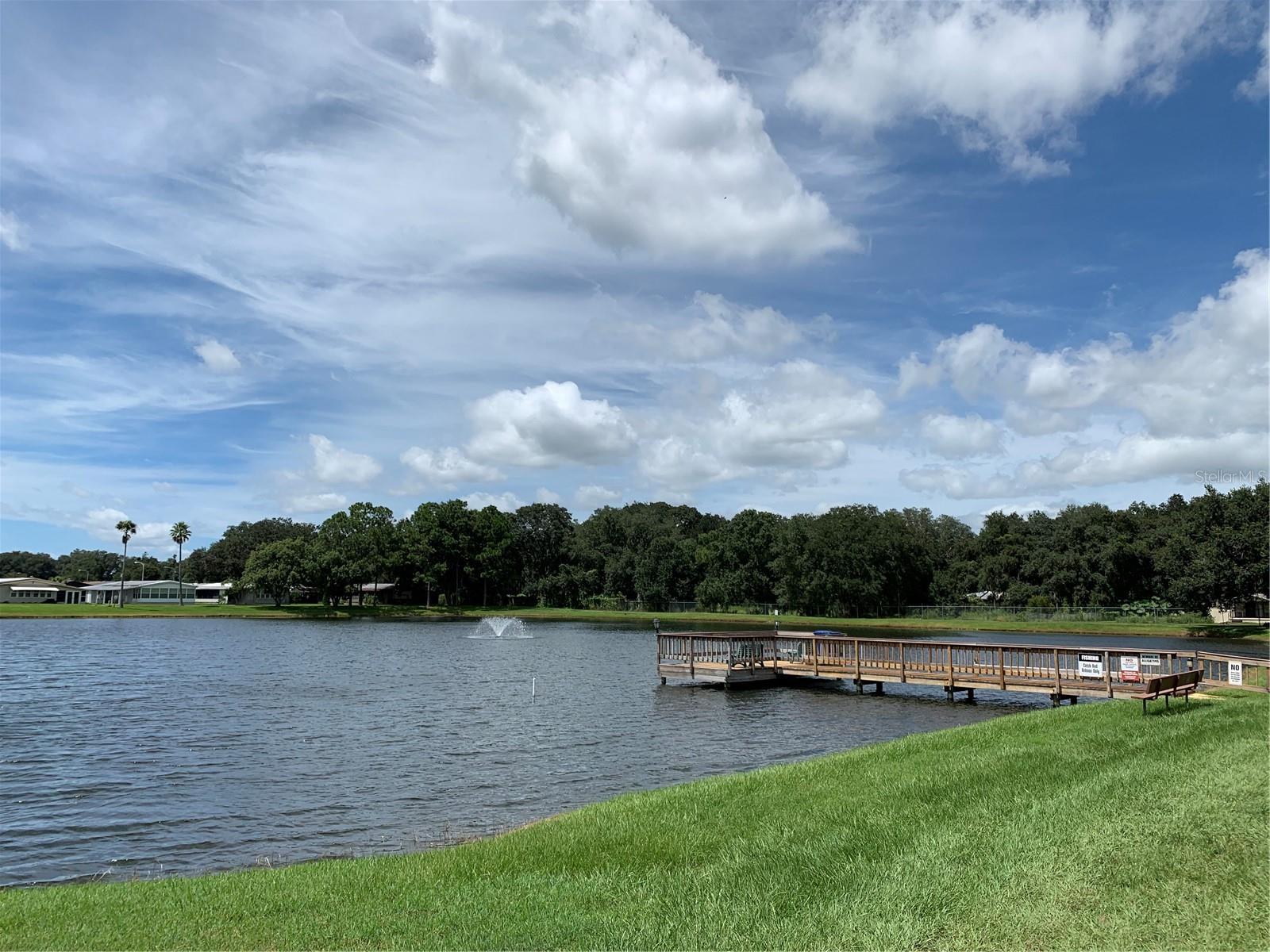 3111 GREAT OAK ST, WESLEY CHAPEL, FL, 33543