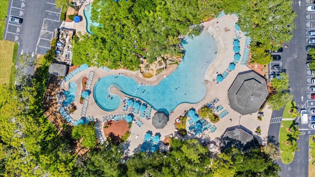 36750 US 19 N #24-104, PALM HARBOR, FL, 34684