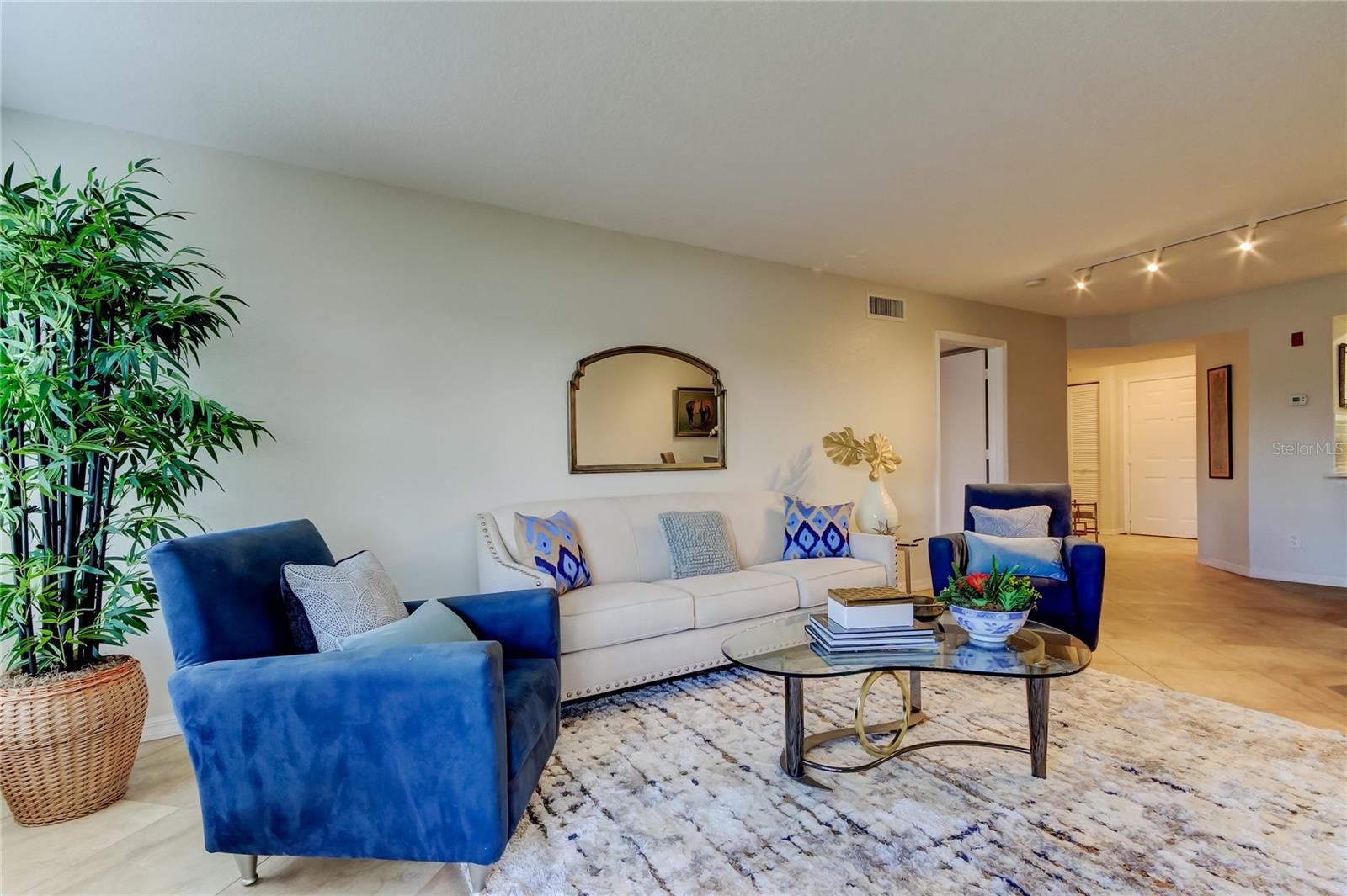 Large Living Room