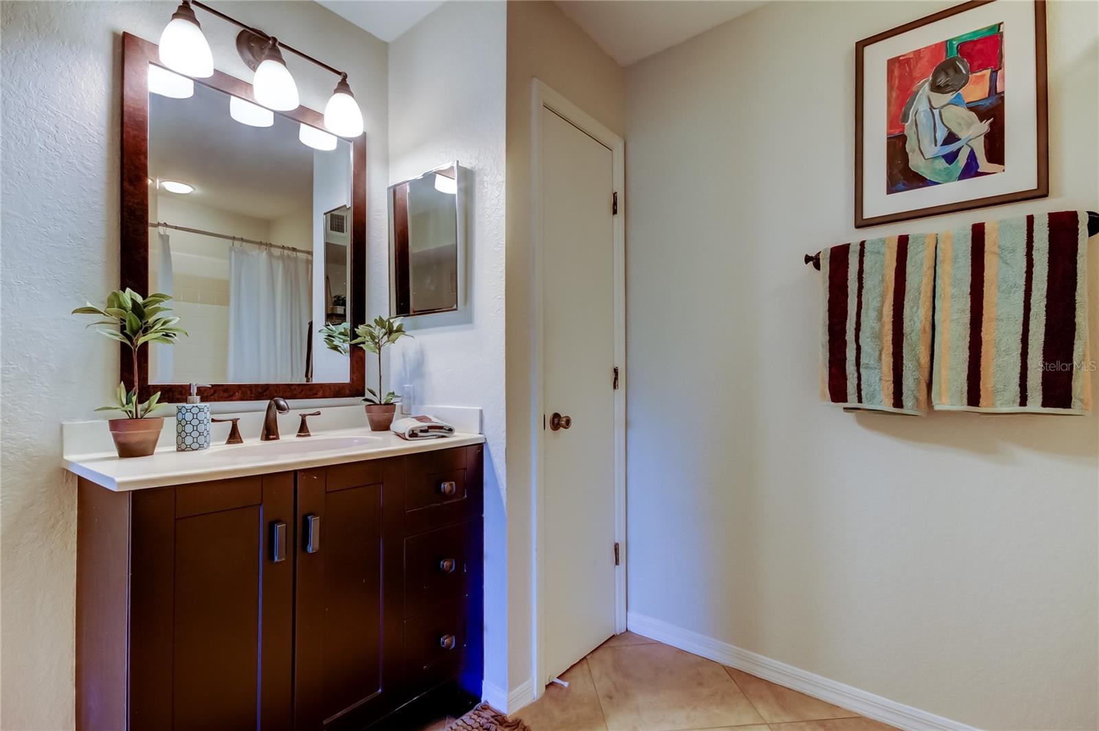 Large Guest Bath