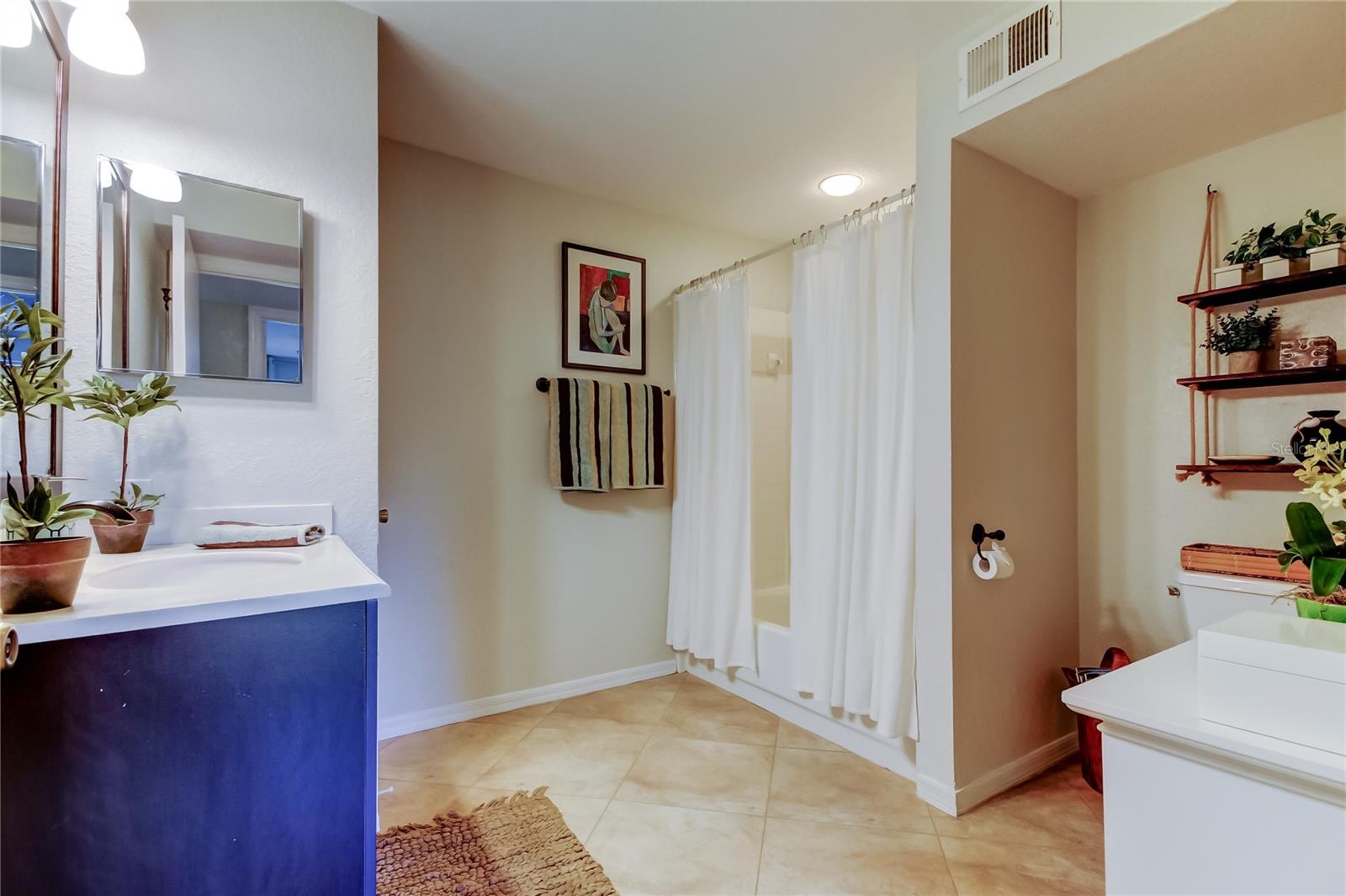 Large Guest Bath