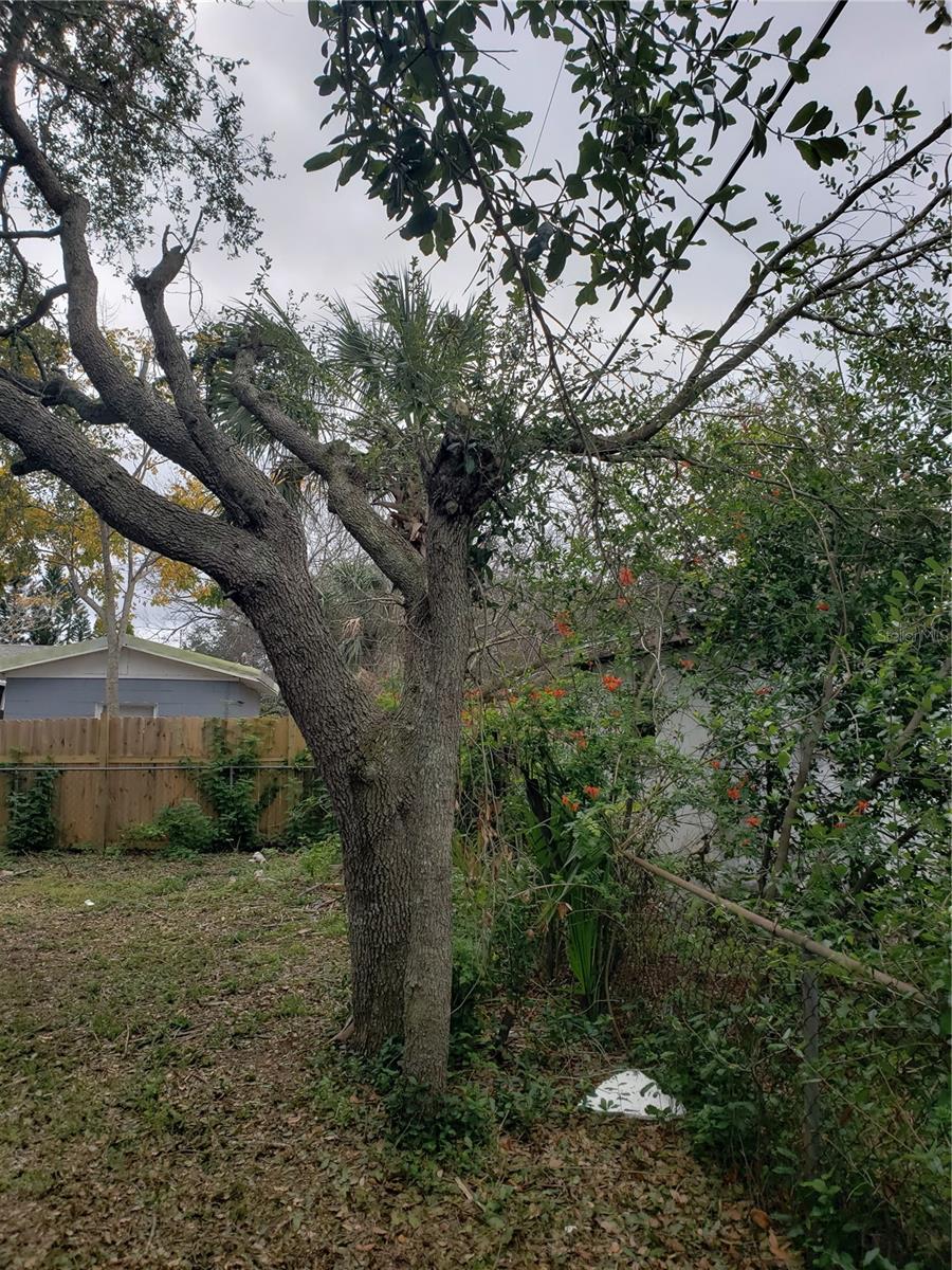 6997 CHESTNUT DR, COCOA, FL, 32927