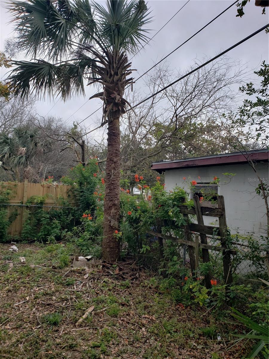 6997 CHESTNUT DR, COCOA, FL, 32927