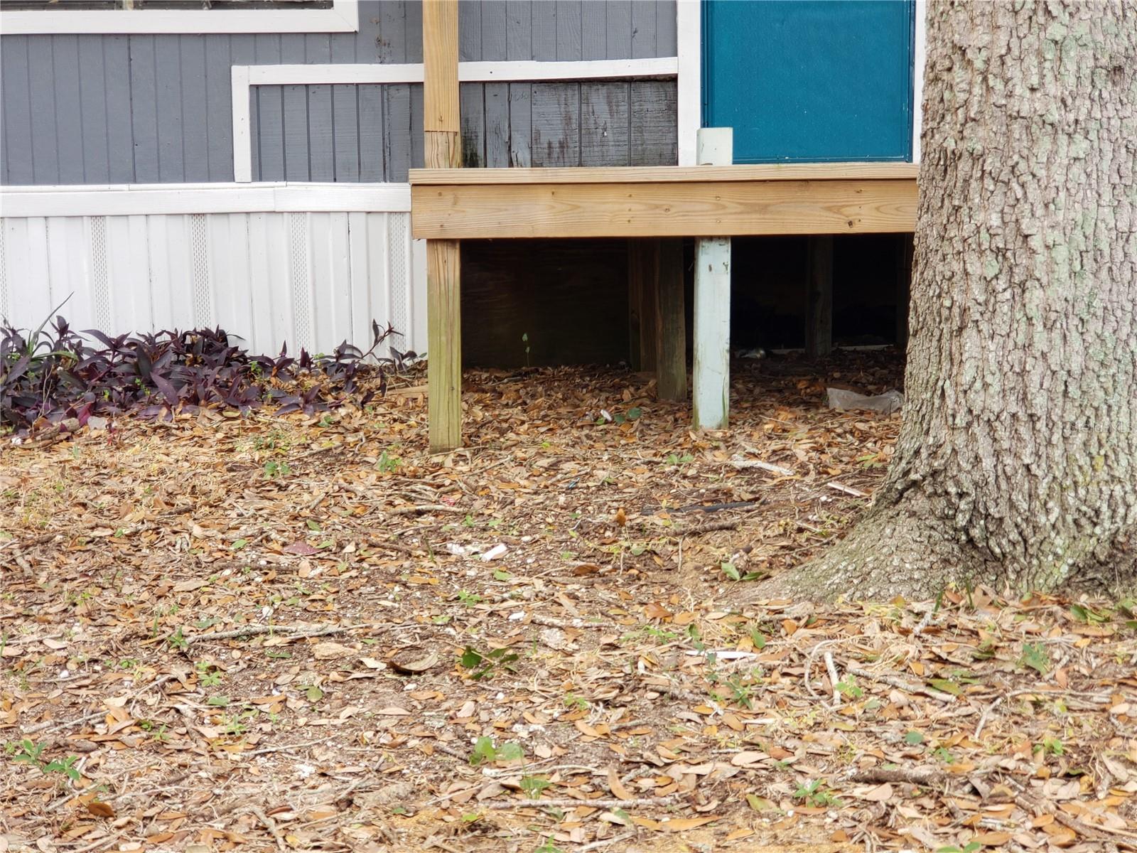 6997 CHESTNUT DR, COCOA, FL, 32927