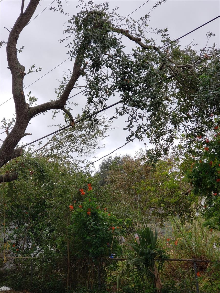 6997 CHESTNUT DR, COCOA, FL, 32927